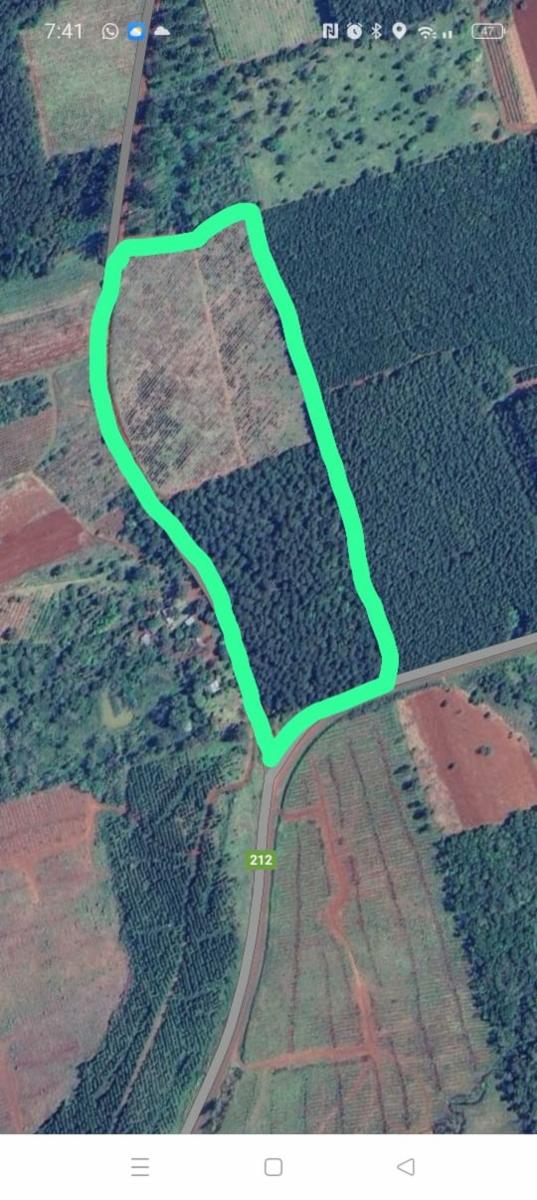 Chacra de 8 has en Venta - 1