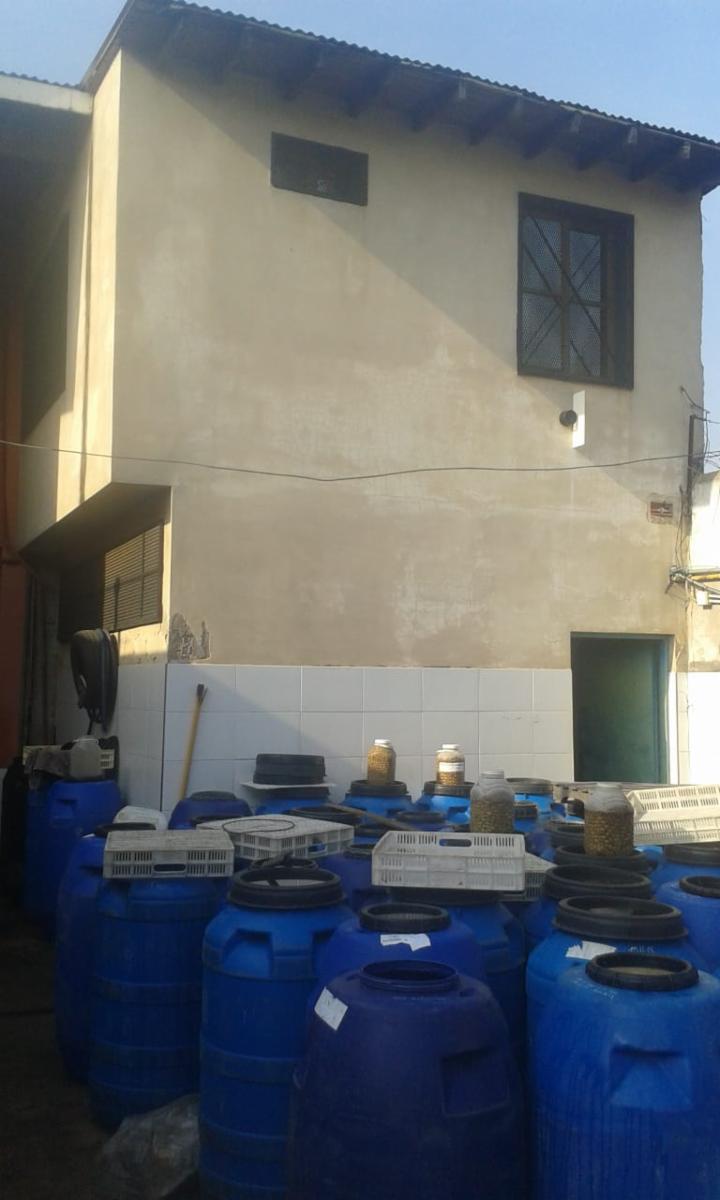 EXCELENTE GALPÓN EQUIPADO PARA INDUSTRIA DE DOS PLANTAS — foto 3