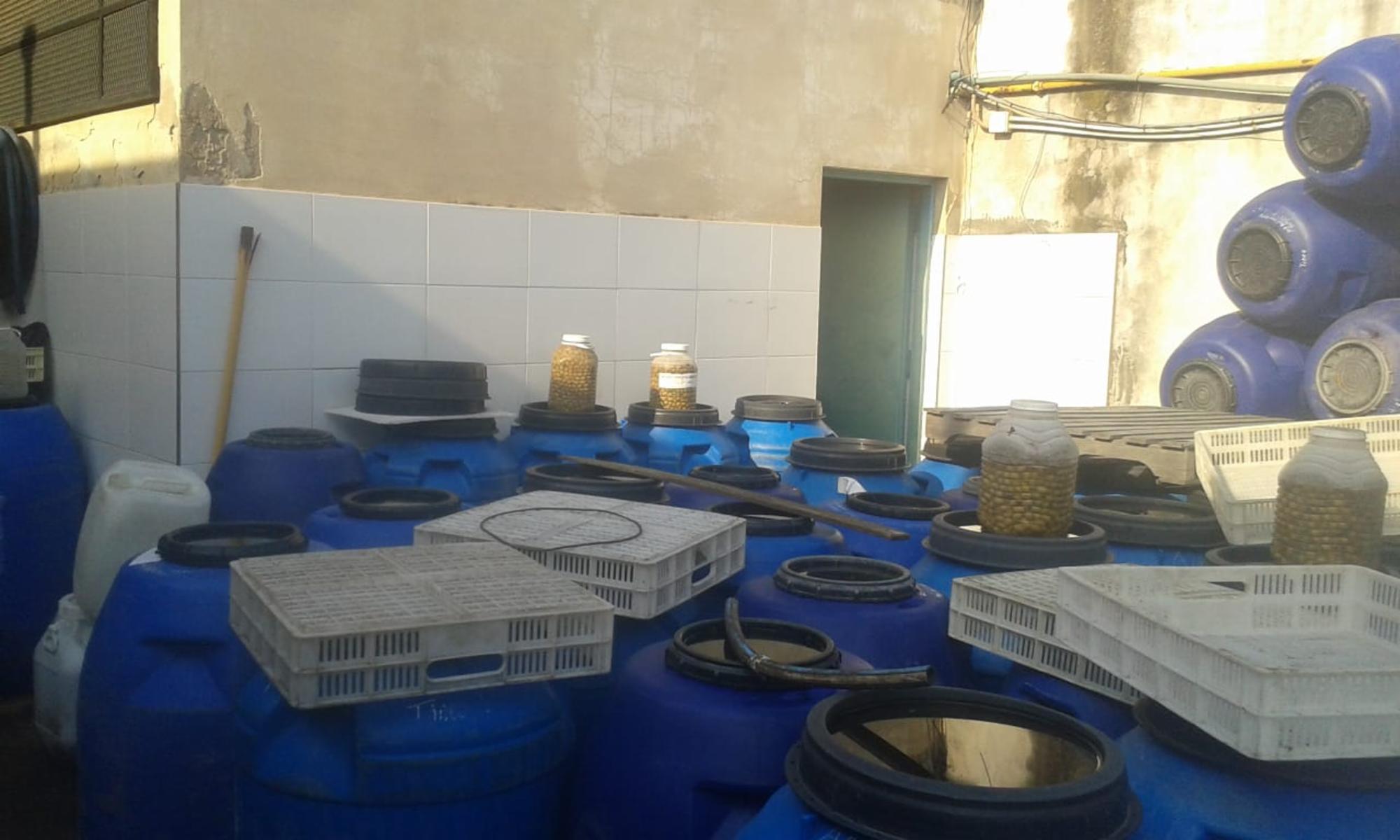 EXCELENTE GALPÓN EQUIPADO PARA INDUSTRIA DE DOS PLANTAS — foto 6
