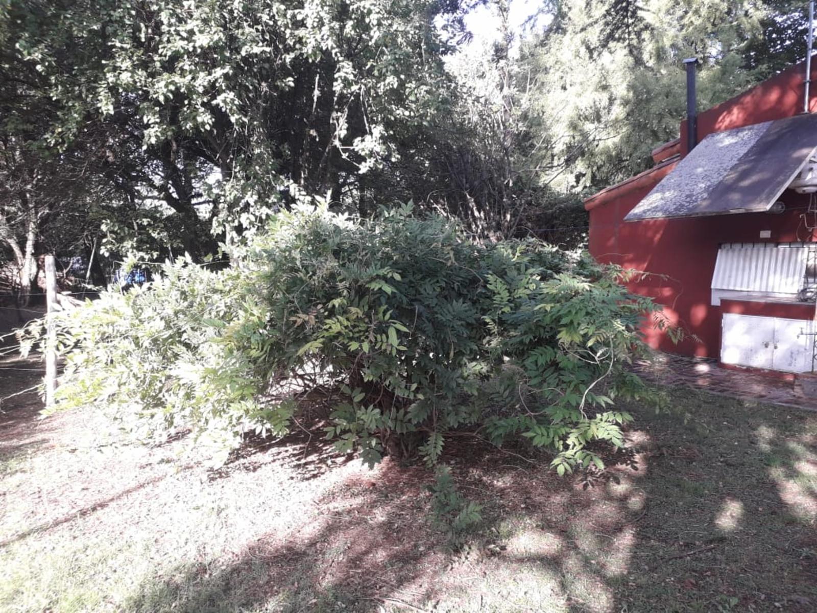 OPORTUNIDAD – QUINTA EN GRAL. RODRIGUEZ EN TERRENO DE 1.000 M² — foto 2