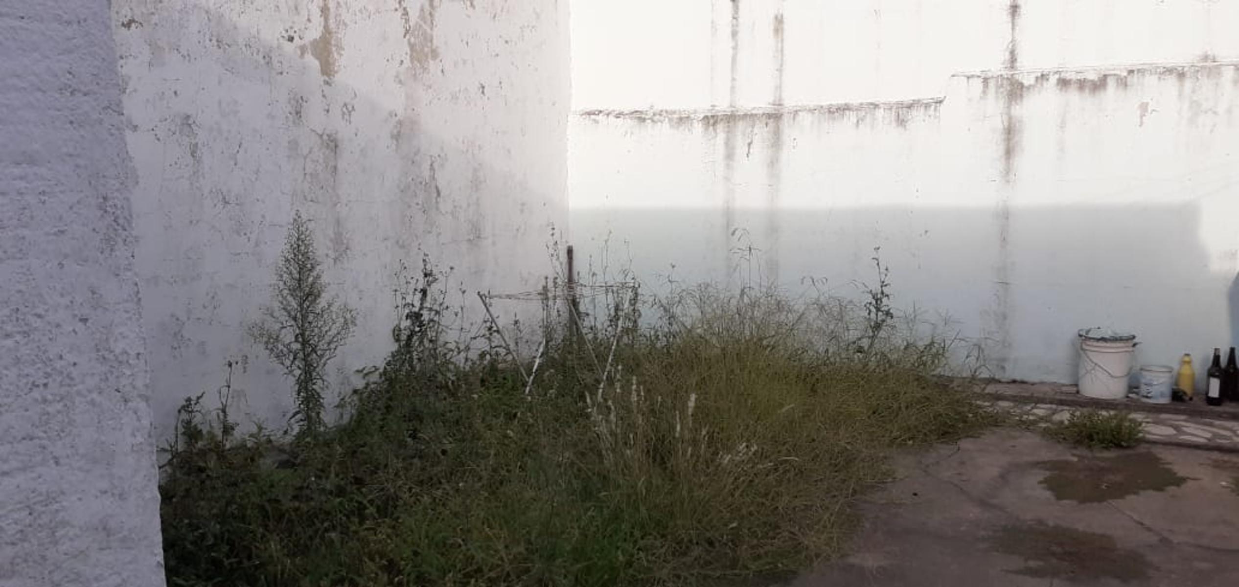 PH PARA RECICLAR A POCAS CUADRAS DEL GORKY GRANA — foto 4