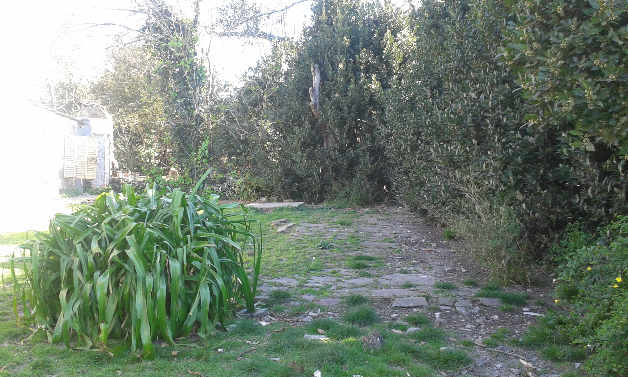 TERRENO PARA INVERSIONISTAS PARA POSIBLE COMPLEJO HABITACIONAL DE ALQUILER — foto 9