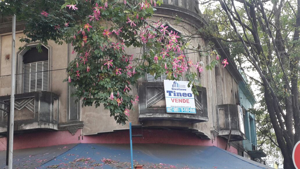 ESQUINA - PLANTA ALTA - EN ZONA CÉNTRICA IDEAL - USO PROFESIONAL — foto 7