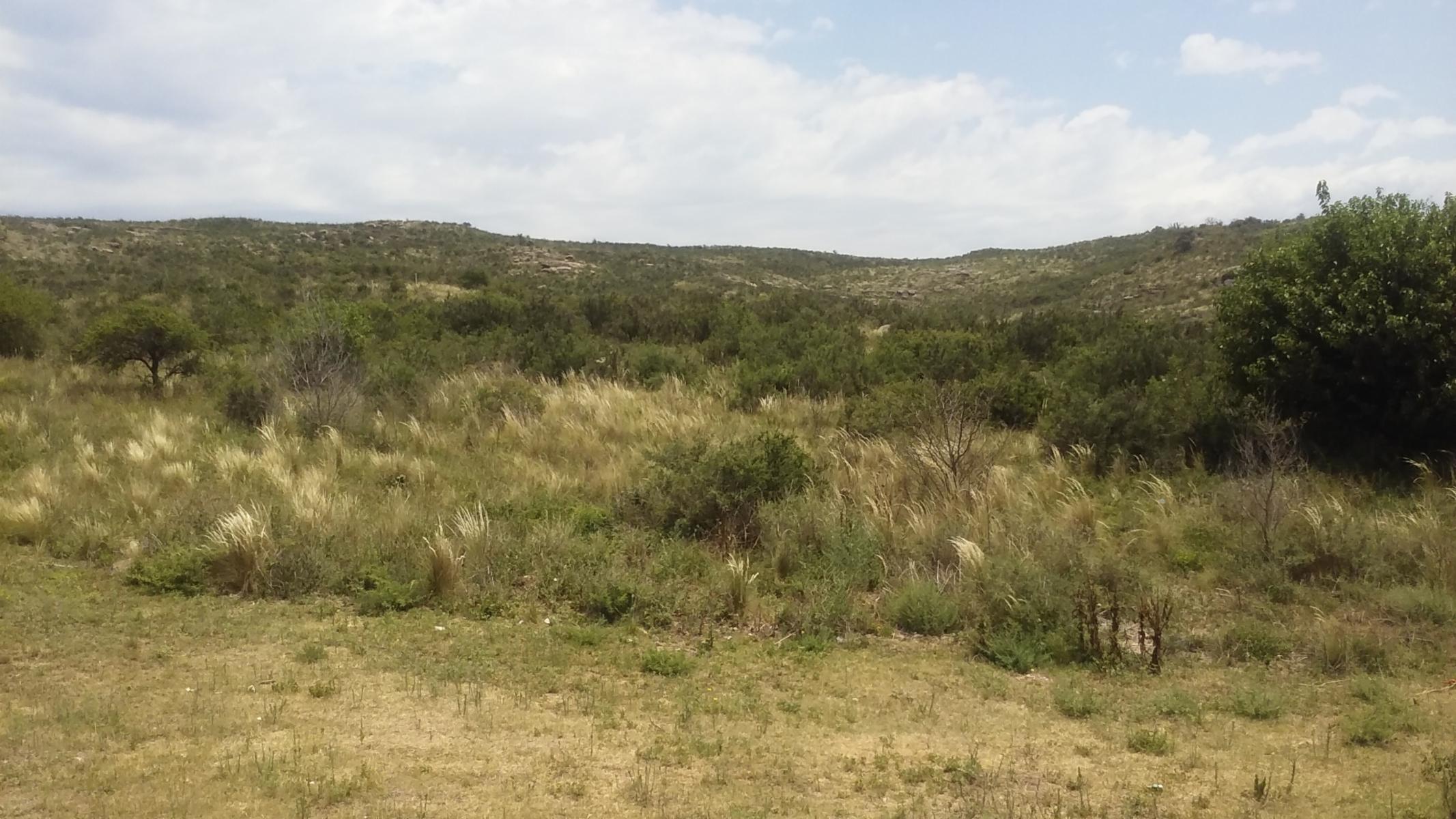 ESPECTACULAR TERRENO — foto 3