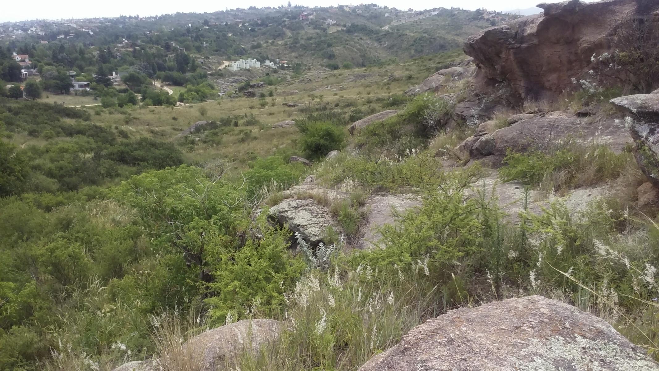 ESPECTACULAR TERRENO DE 11 HECTAREAS — foto 2