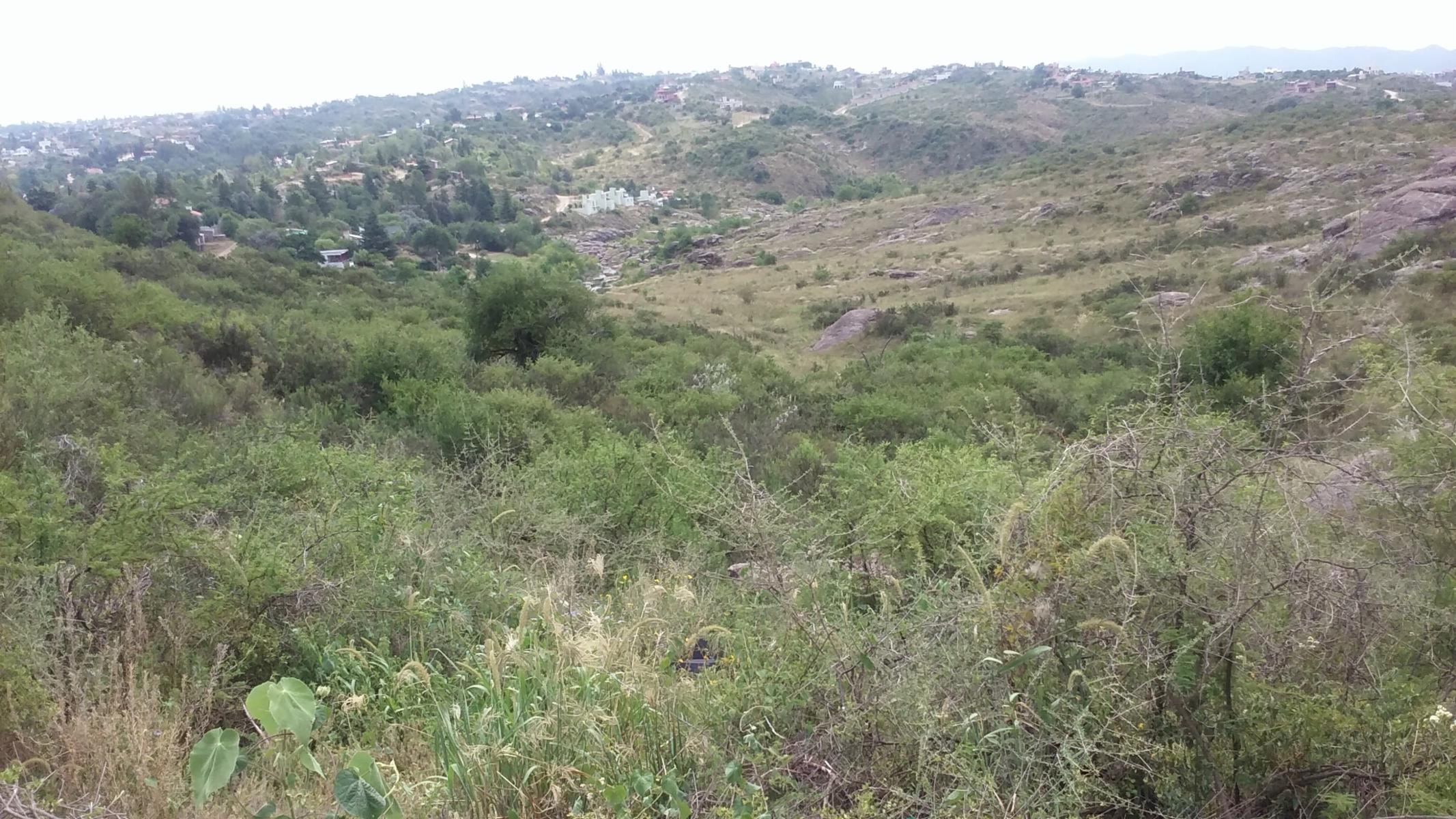 ESPECTACULAR TERRENO DE 11 HECTAREAS — foto 3