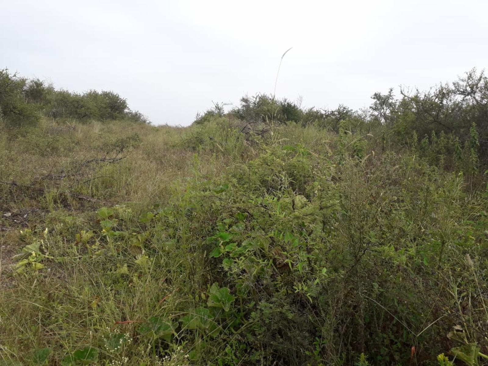 Excelente Terreno en Mirador del lago Títulos Perfectos — foto 2