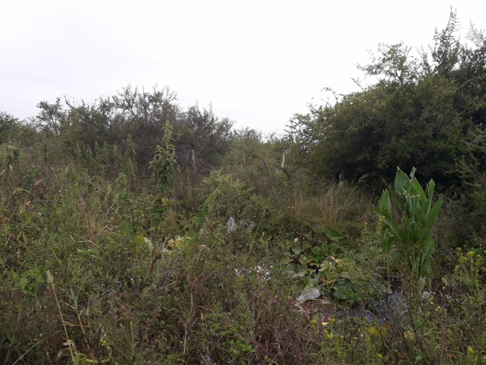 Excelente Terreno en Mirador del lago Títulos Perfectos — foto 3