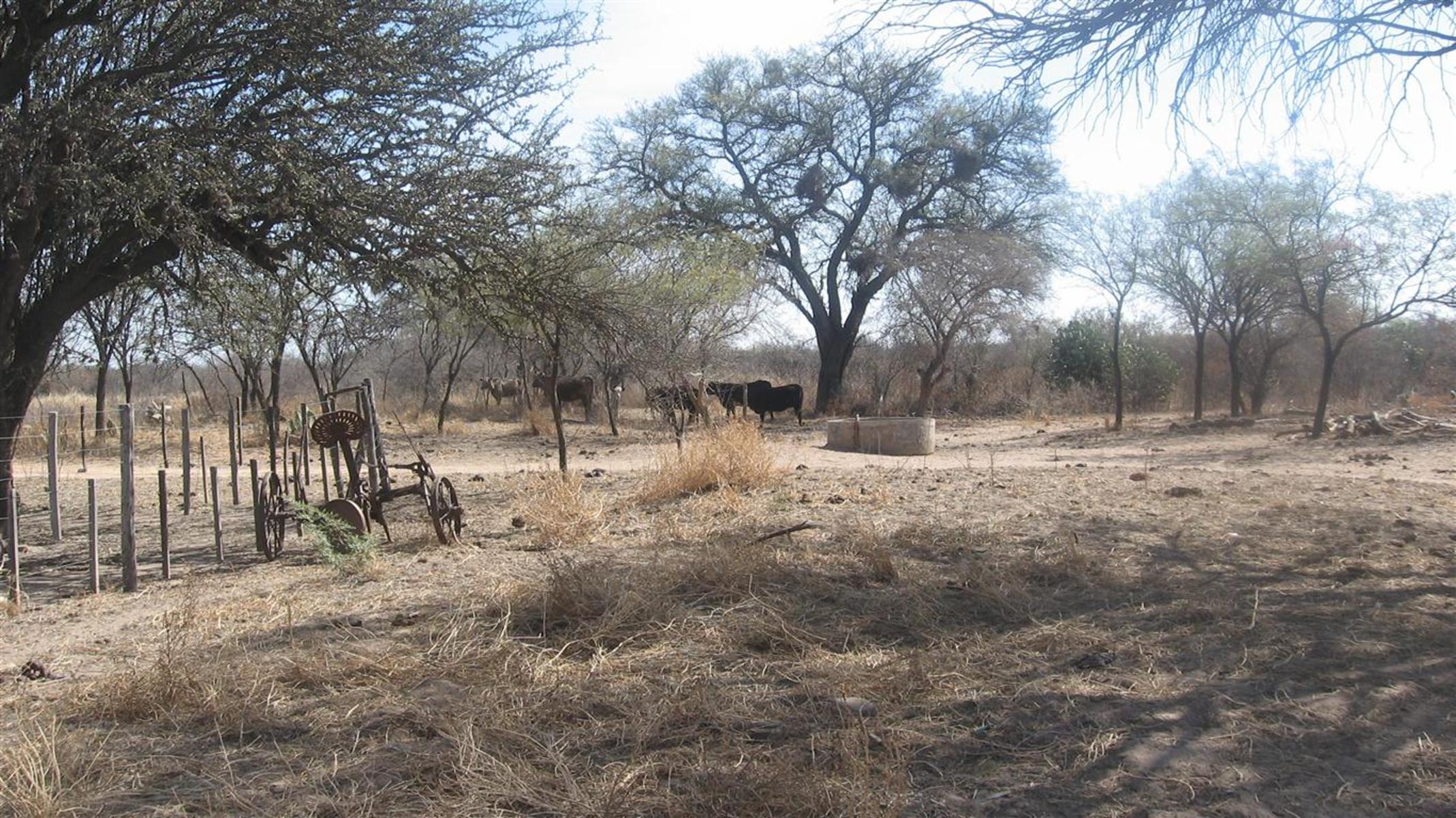 Oportunidad VENTA CAMPO Ruta 38 - 2