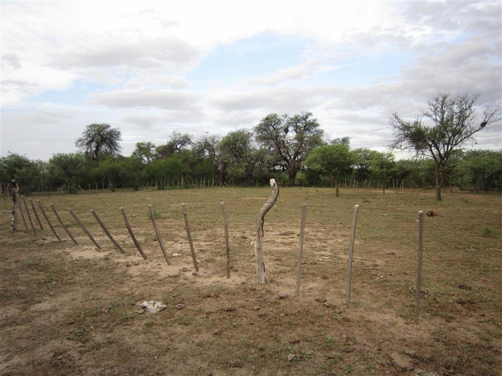 Oportunidad VENTA CAMPO Ruta 38 - 3