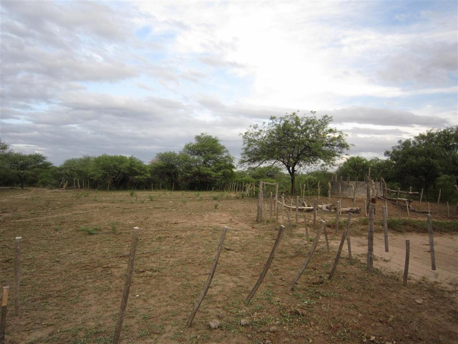 Oportunidad VENTA CAMPO Ruta 38 - 4