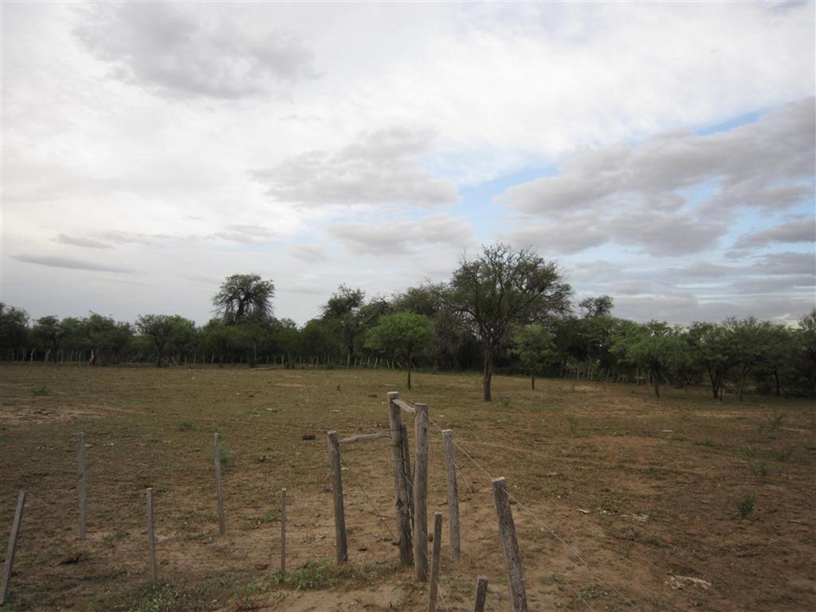 Oportunidad VENTA CAMPO Ruta 38 - 5