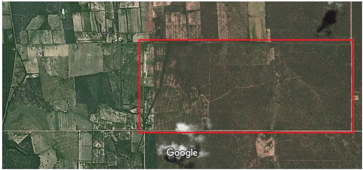 Oportunidad VENTA CAMPO Ruta 38 - 1