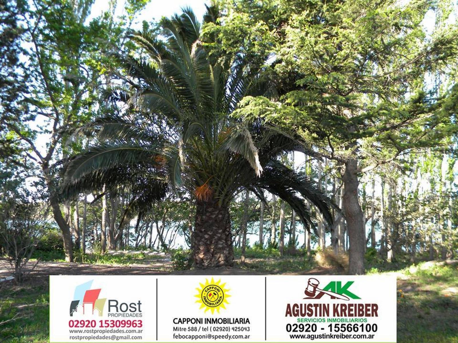 SE VENDEN LOTES DE 1.800M2 CON ESCRITURA “LOTEO LOS SAUCES” — foto 2