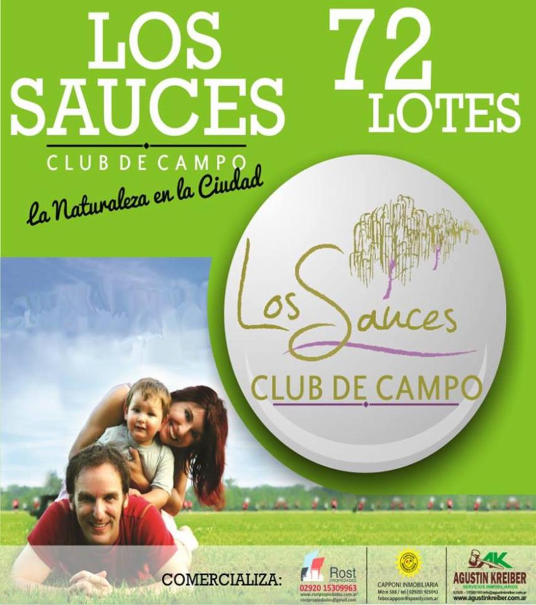 SE VENDEN LOTES DE 1.800M2 CON ESCRITURA “LOTEO LOS SAUCES” — foto 4
