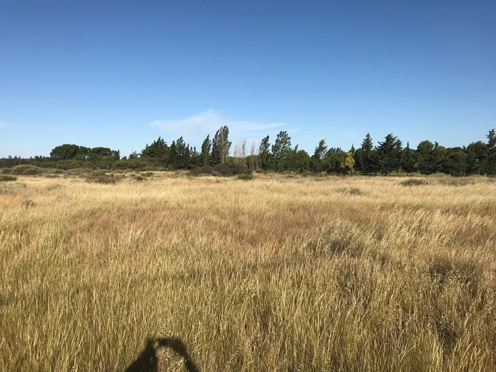 SE VENDE HERMOSO LOTE CON COSTA DE RÍO — foto 6