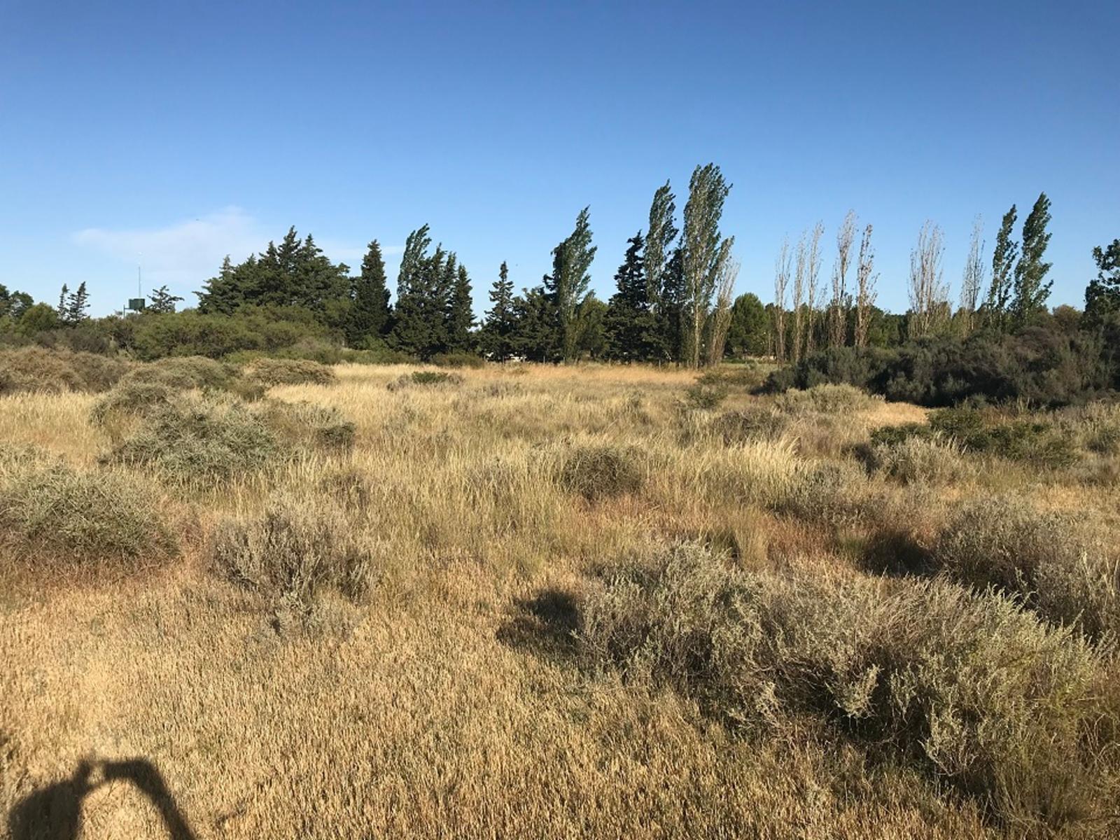 SE VENDE HERMOSO LOTE CON COSTA DE RÍO — foto 7