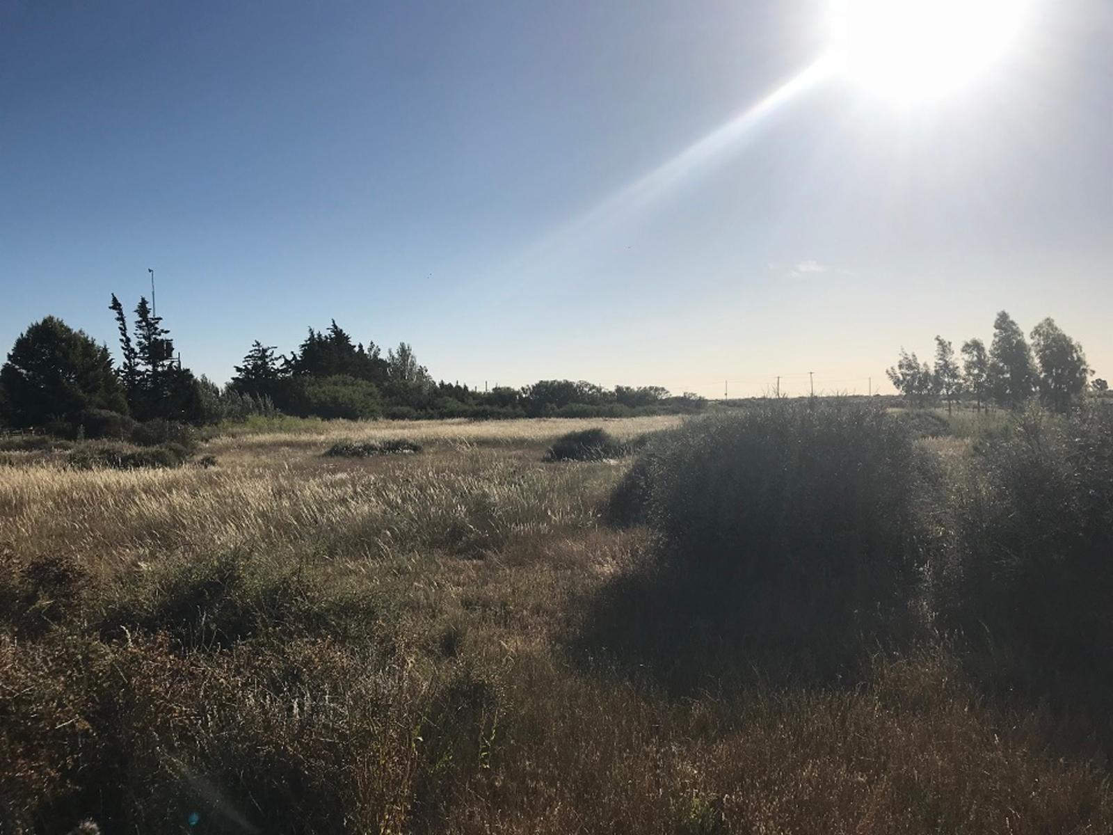 SE VENDE HERMOSO LOTE CON COSTA DE RÍO — foto 8