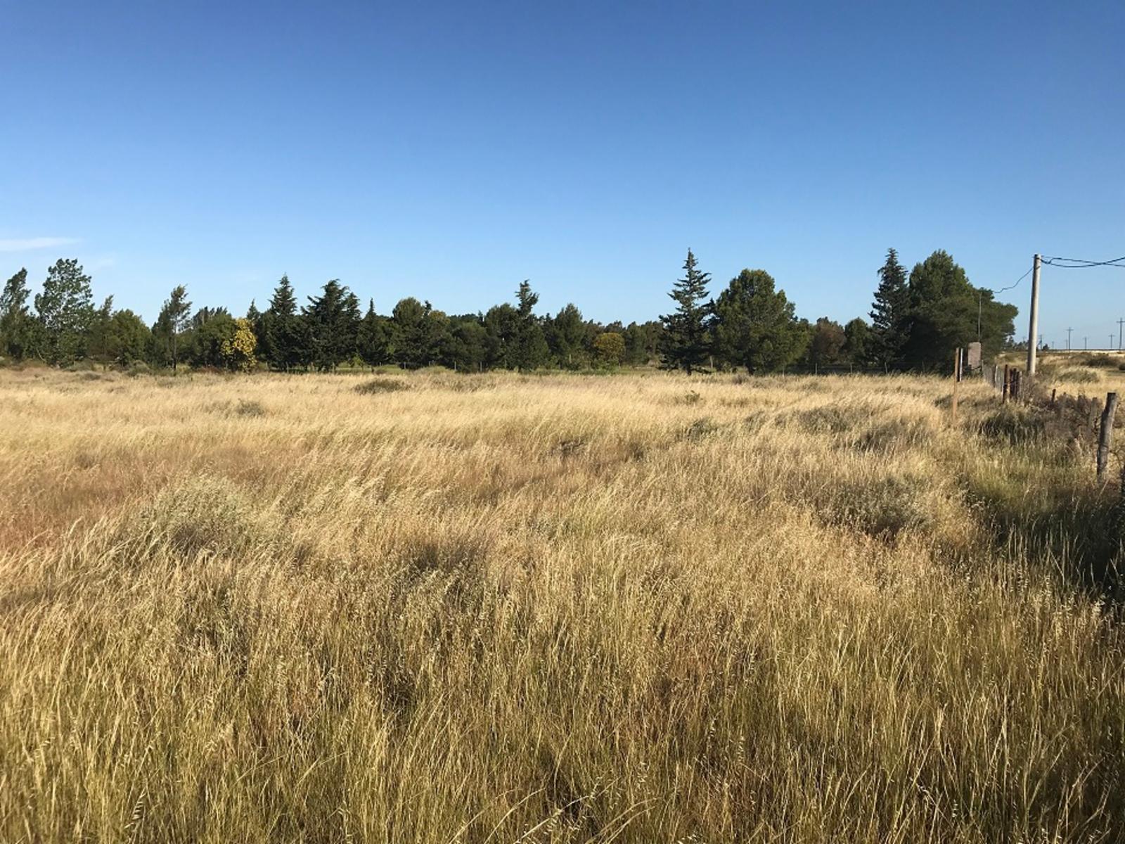 SE VENDE HERMOSO LOTE CON COSTA DE RÍO — foto 9