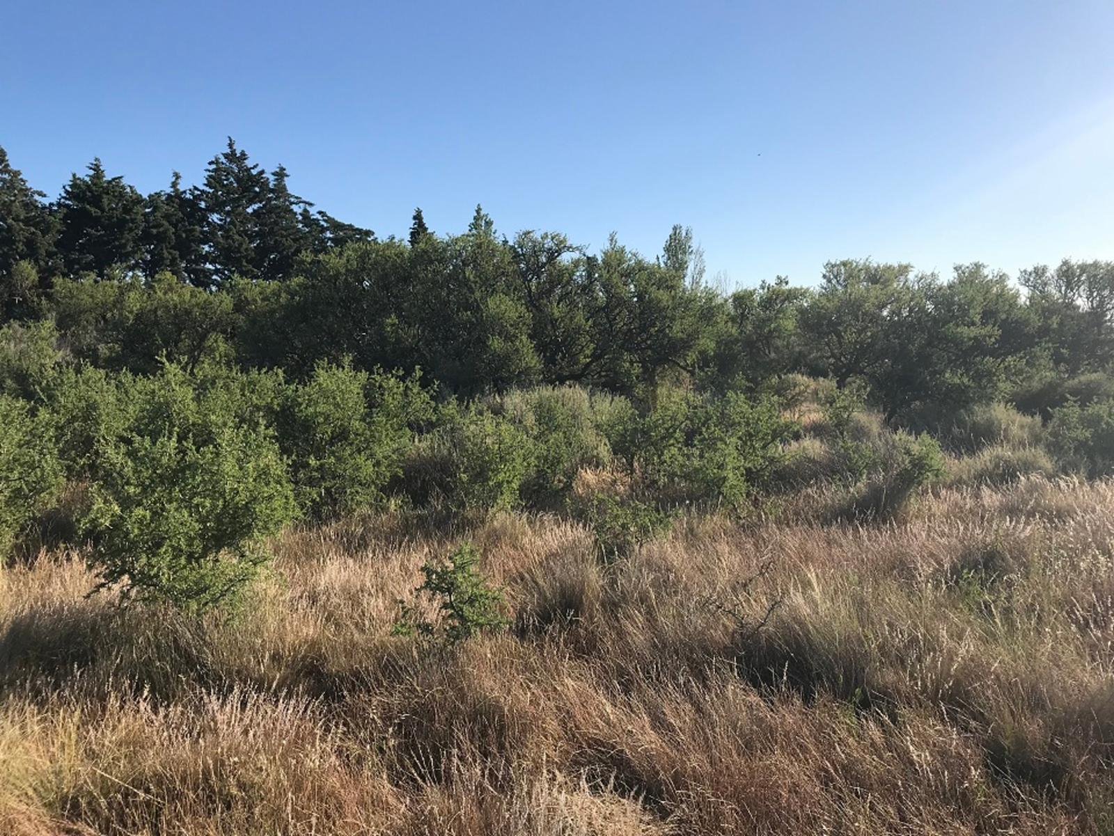 SE VENDE HERMOSO LOTE CON COSTA DE RÍO — foto 10