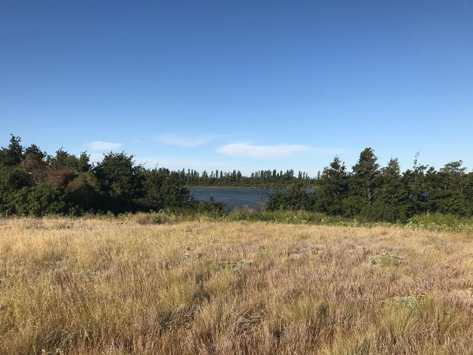 SE VENDE HERMOSO LOTE CON COSTA DE RÍO — foto 11