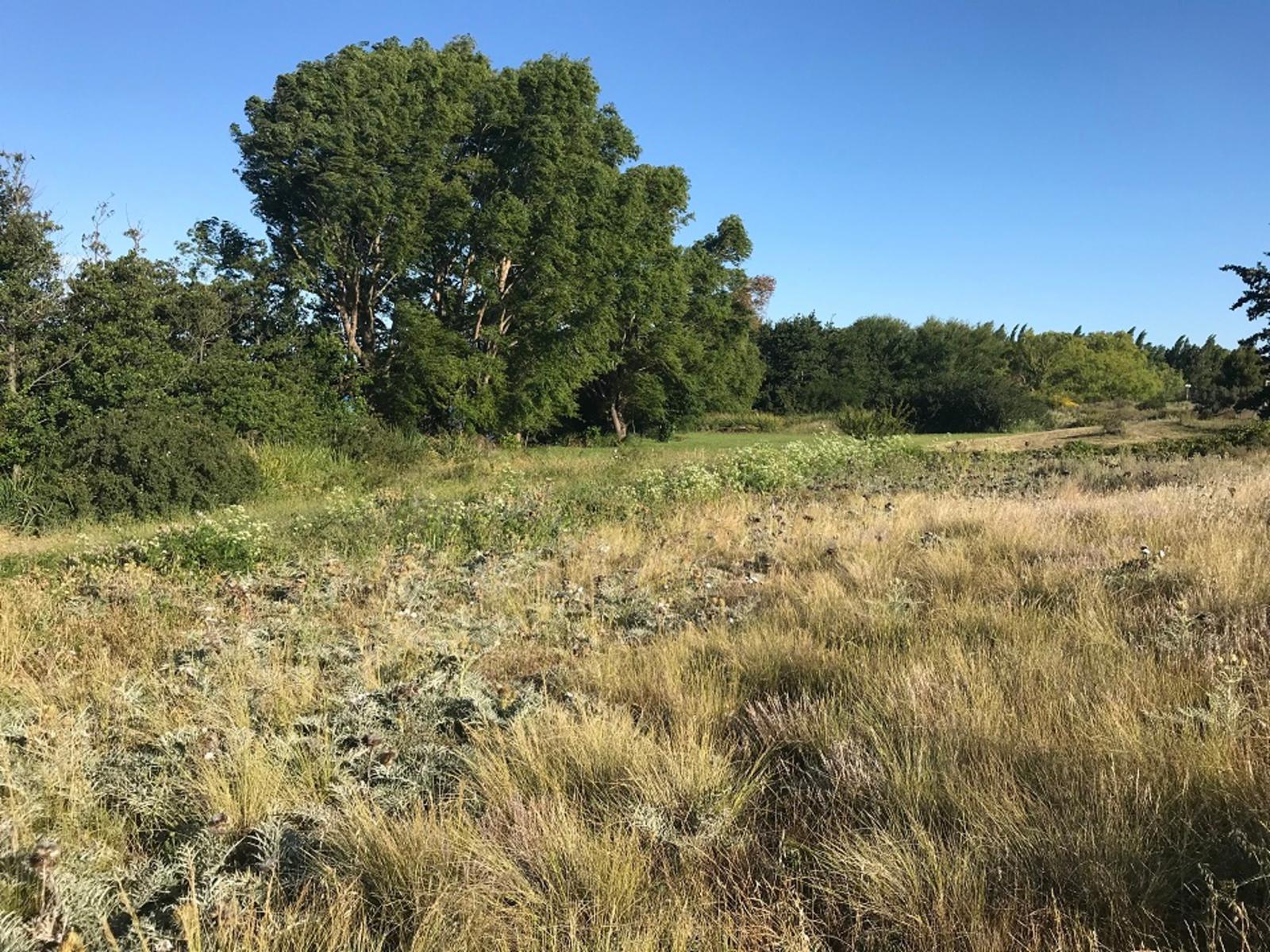 SE VENDE HERMOSO LOTE CON COSTA DE RÍO — foto 13