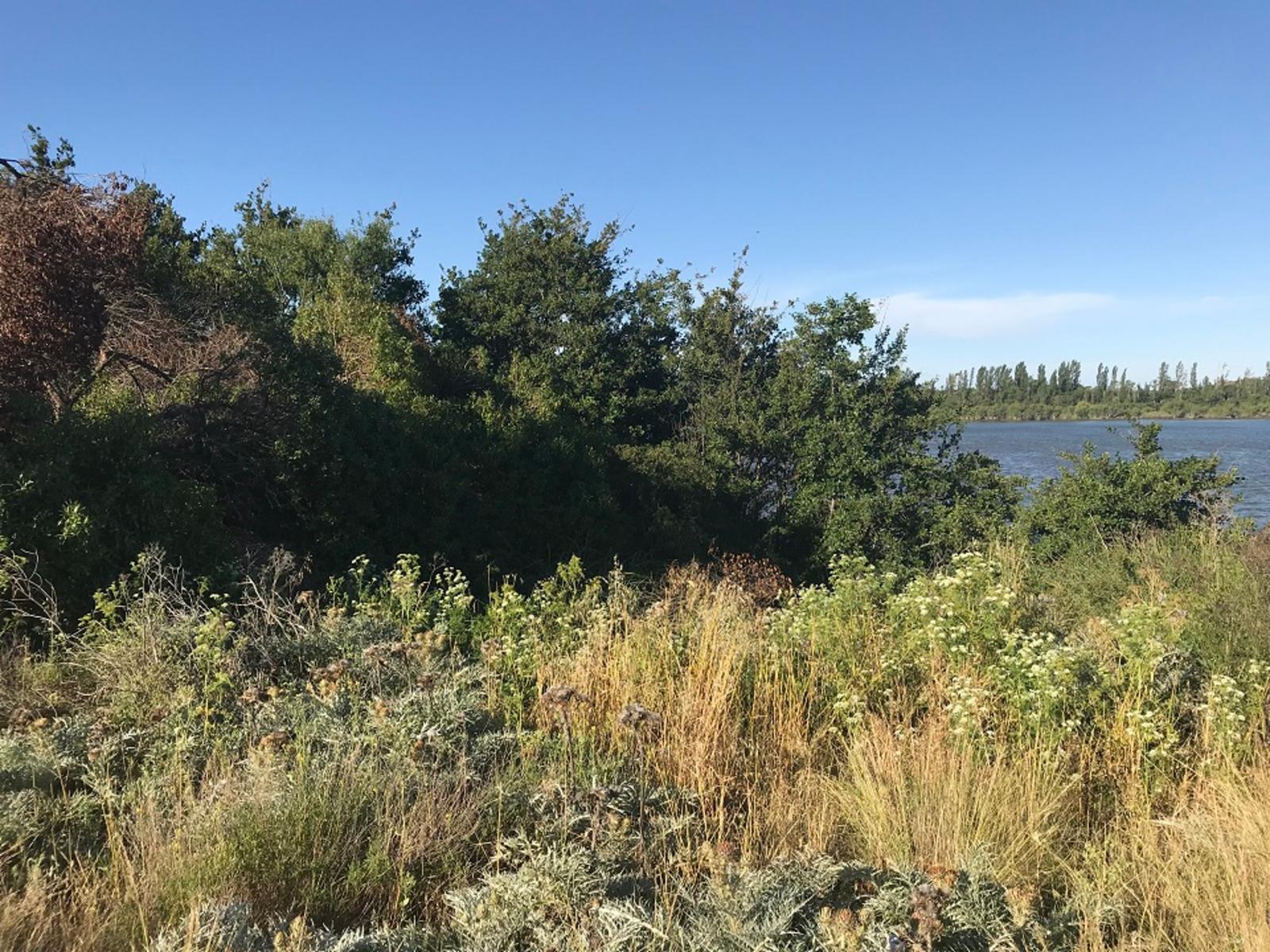 SE VENDE HERMOSO LOTE CON COSTA DE RÍO — foto 14