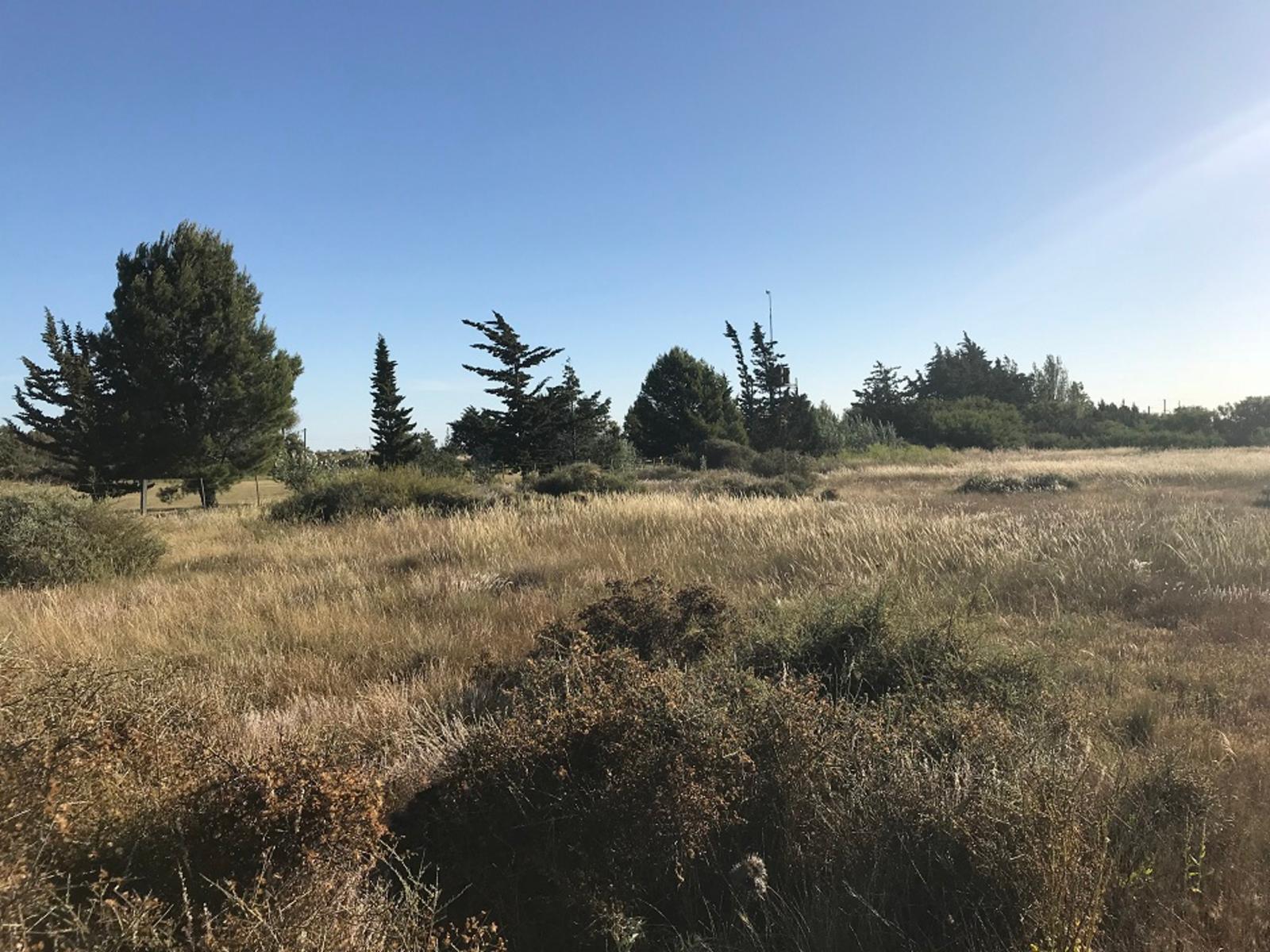 SE VENDE HERMOSO LOTE CON COSTA DE RÍO — foto 15