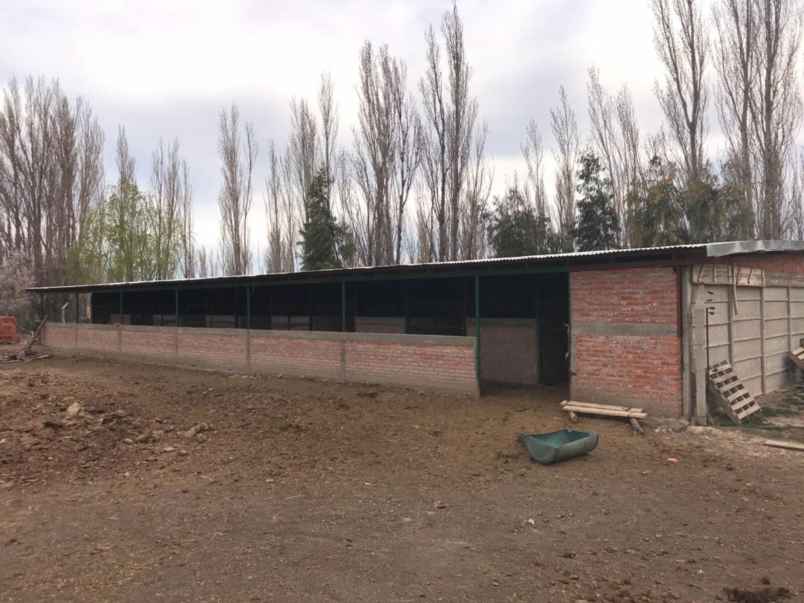 SE VENDE HERMOSA CHACRA DE 21,5HAS. EXCELENTE OPORTUNIDAD - 2
