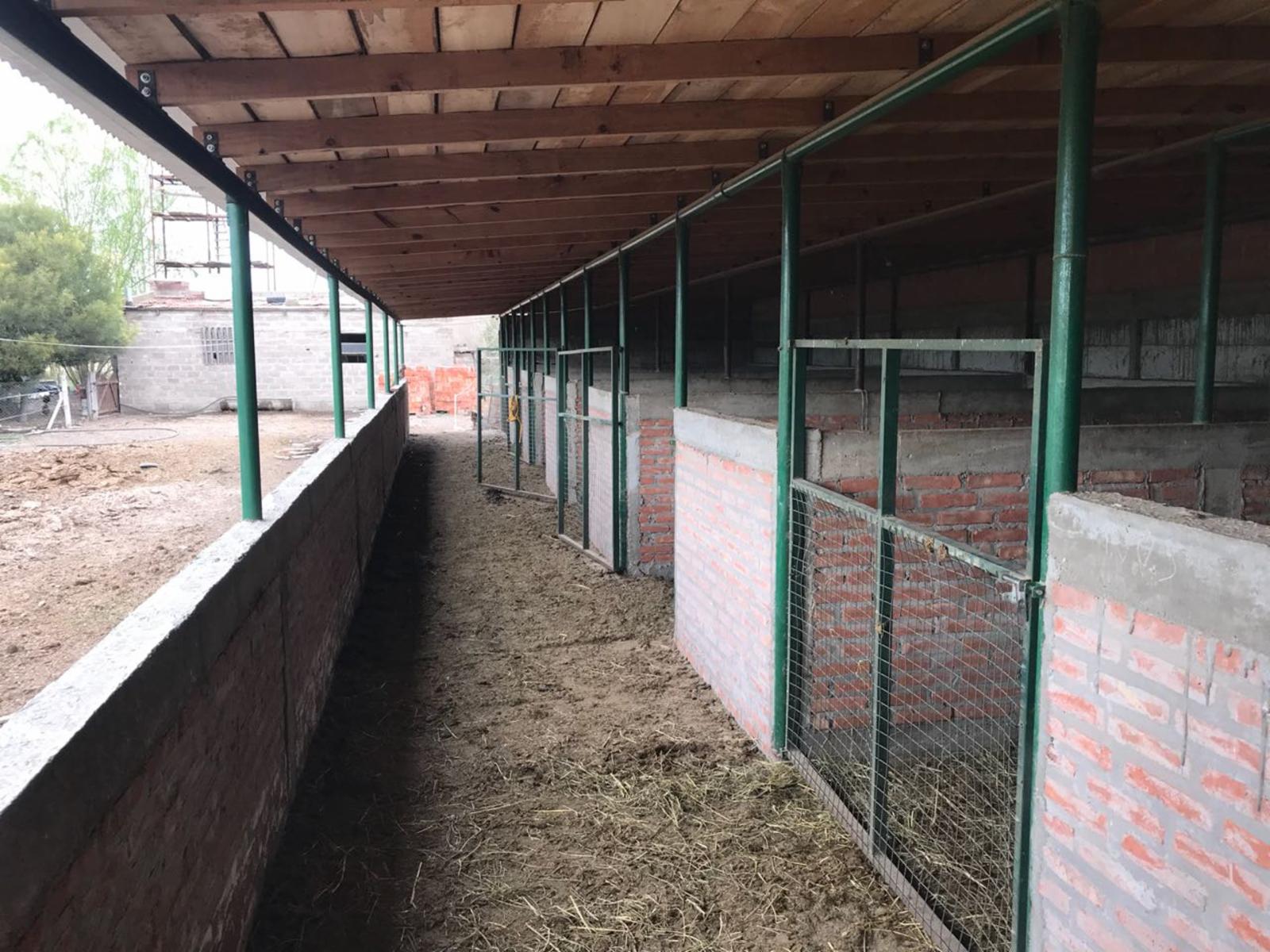 SE VENDE HERMOSA CHACRA DE 21,5HAS. EXCELENTE OPORTUNIDAD - 8