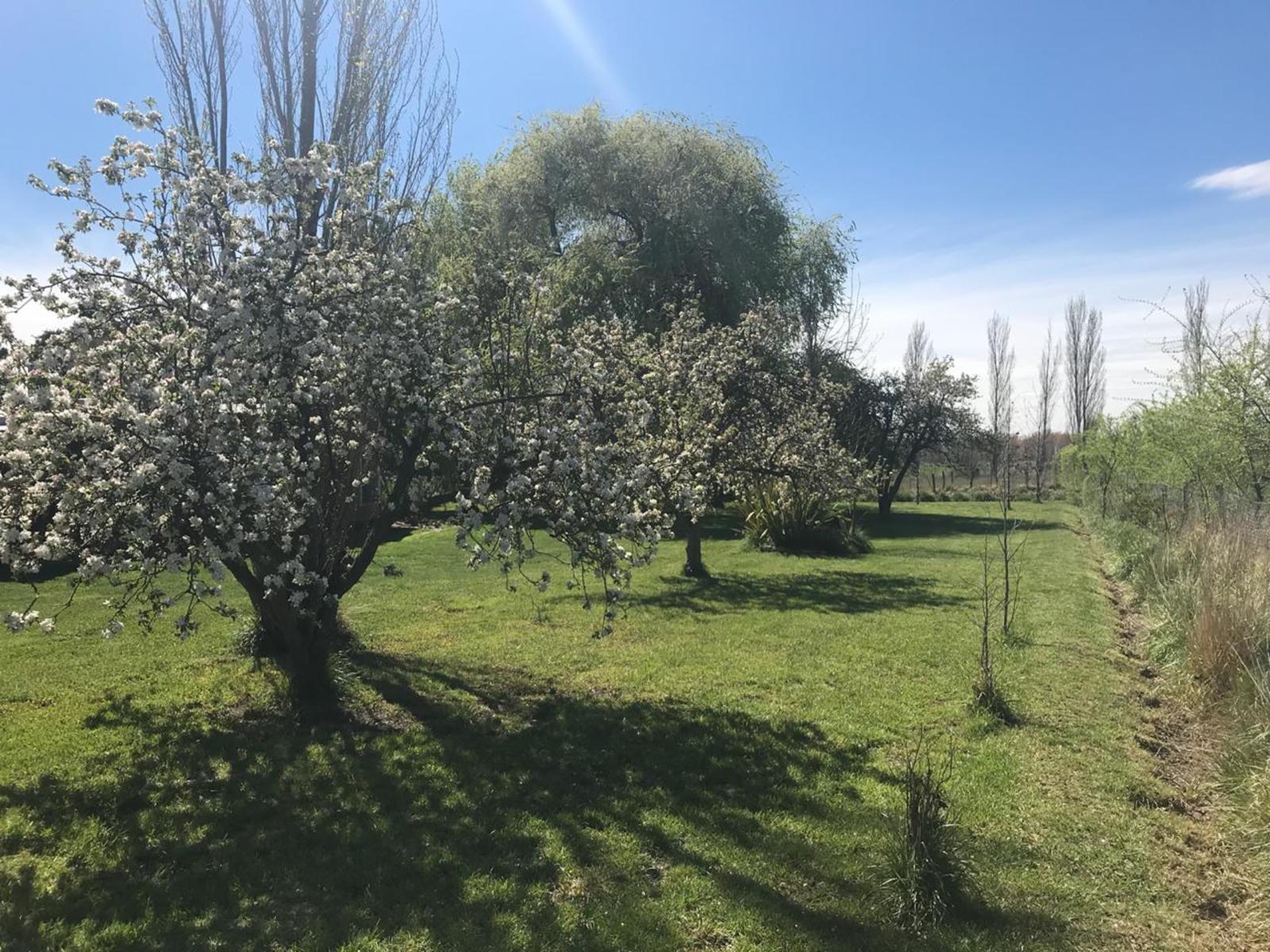 SE VENDE HERMOSA CHACRA DE 21,5HAS. EXCELENTE OPORTUNIDAD - 16
