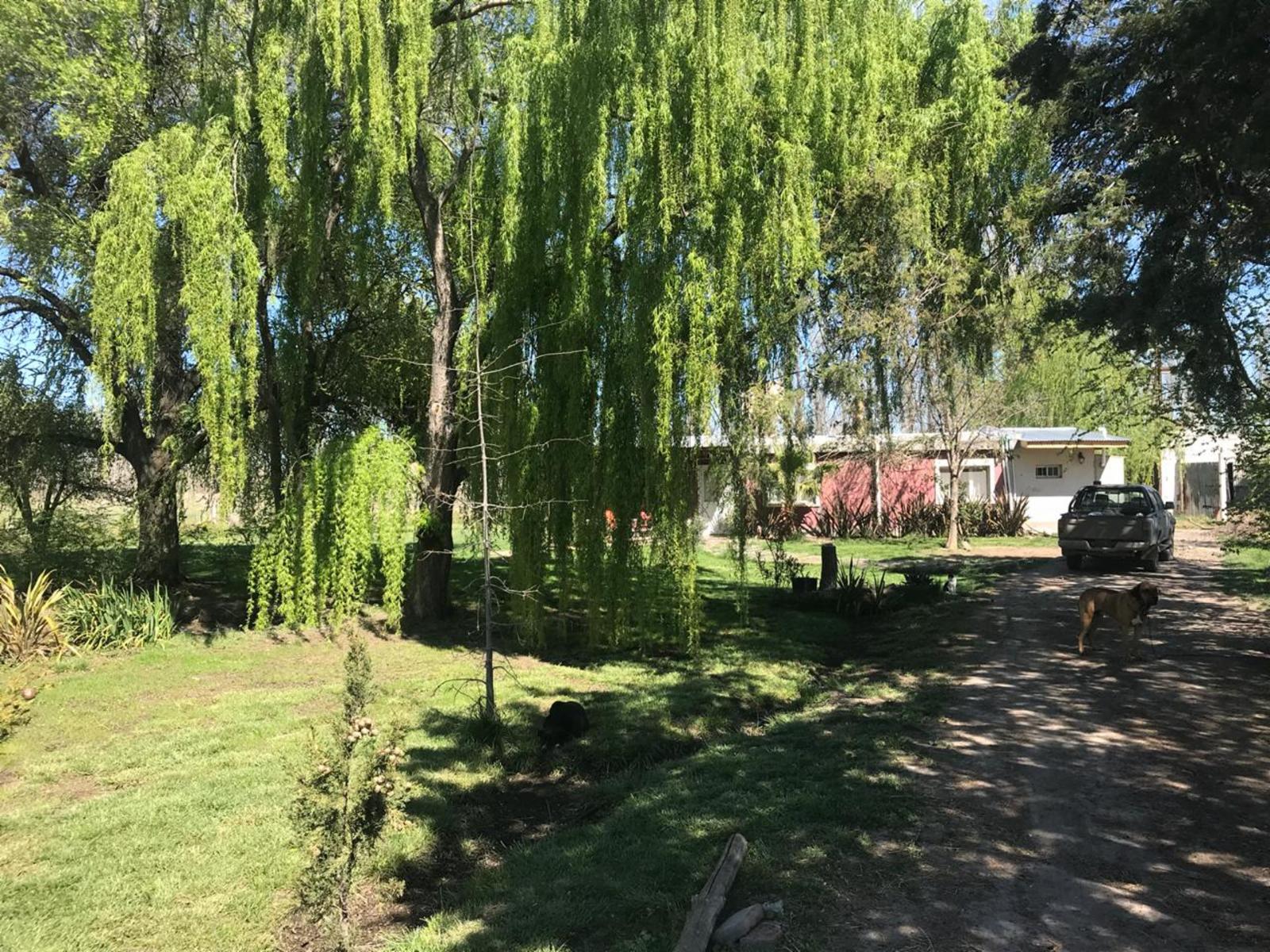 SE VENDE HERMOSA CHACRA DE 21,5HAS. EXCELENTE OPORTUNIDAD - 17