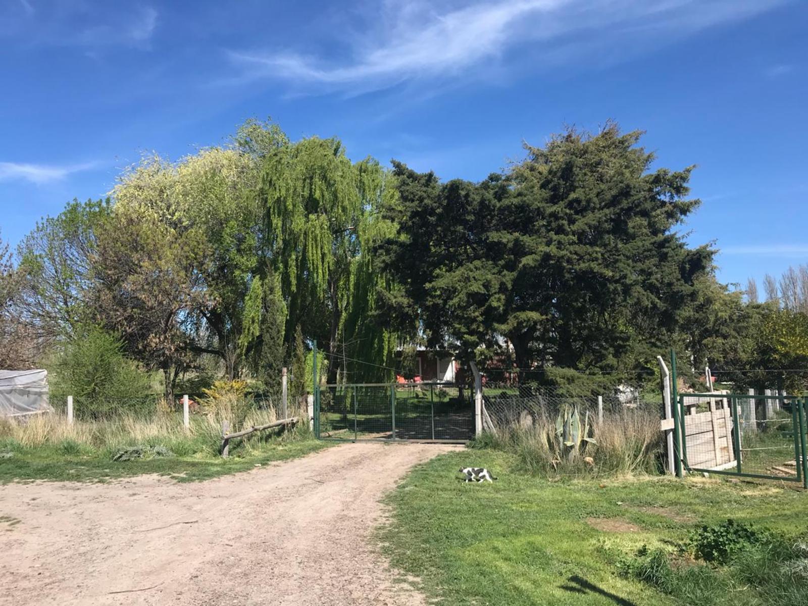 SE VENDE HERMOSA CHACRA DE 21,5HAS. EXCELENTE OPORTUNIDAD - 20