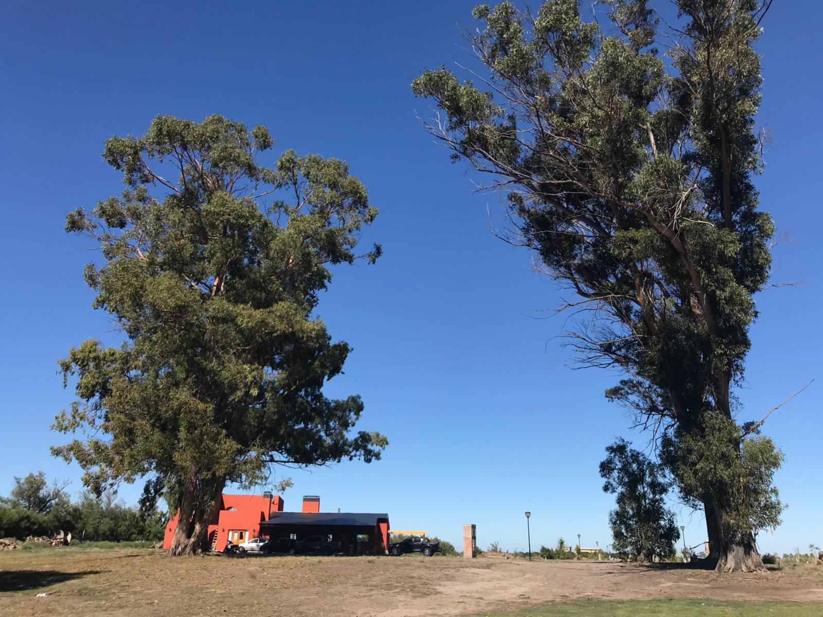 SE VENDEN LOTES SOBRE RUTA PROV N°1 CAMINO A BALNEARIO EL CONDOR — foto 5