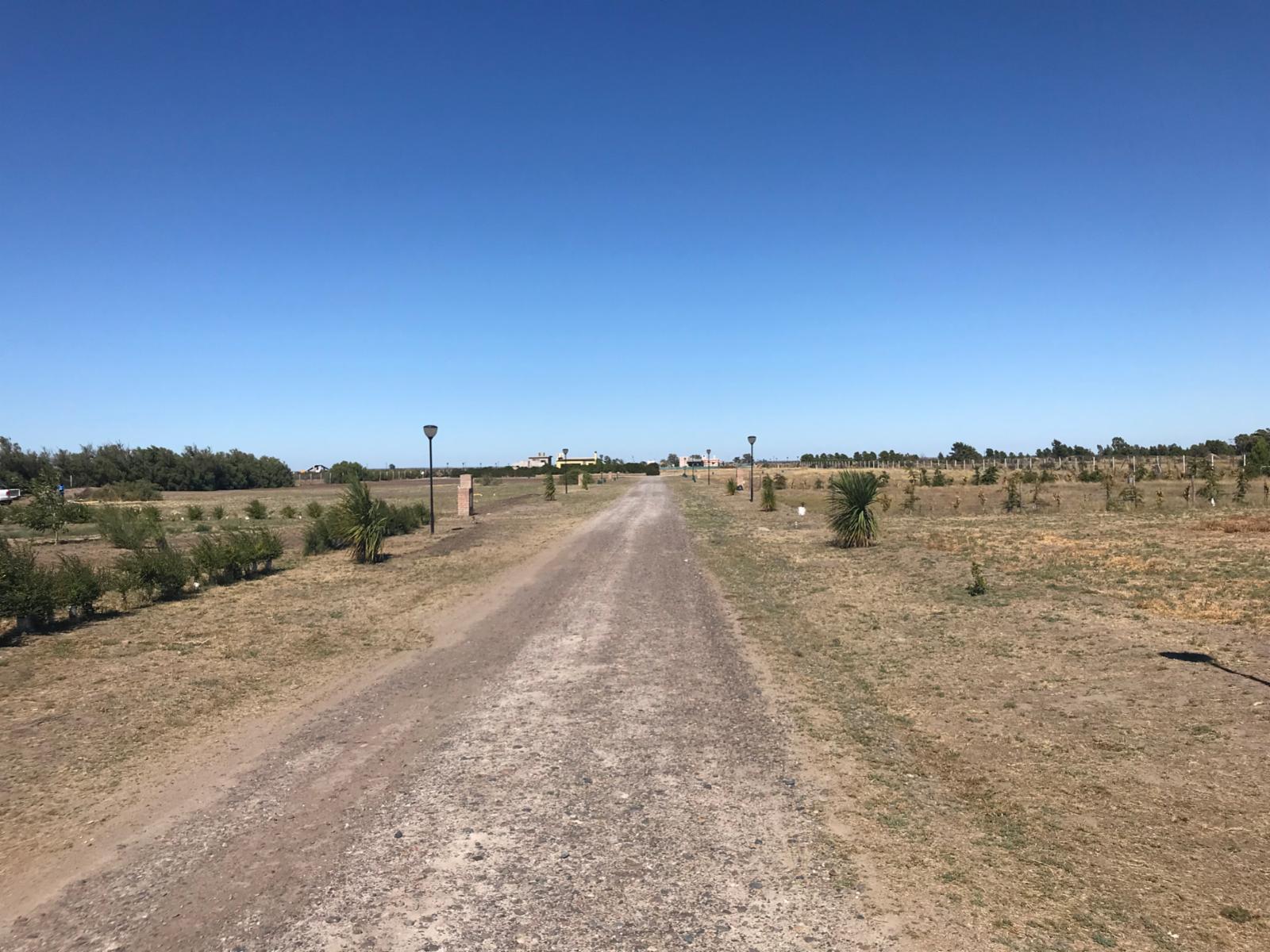 SE VENDEN LOTES SOBRE RUTA PROV N°1 CAMINO A BALNEARIO EL CONDOR — foto 6