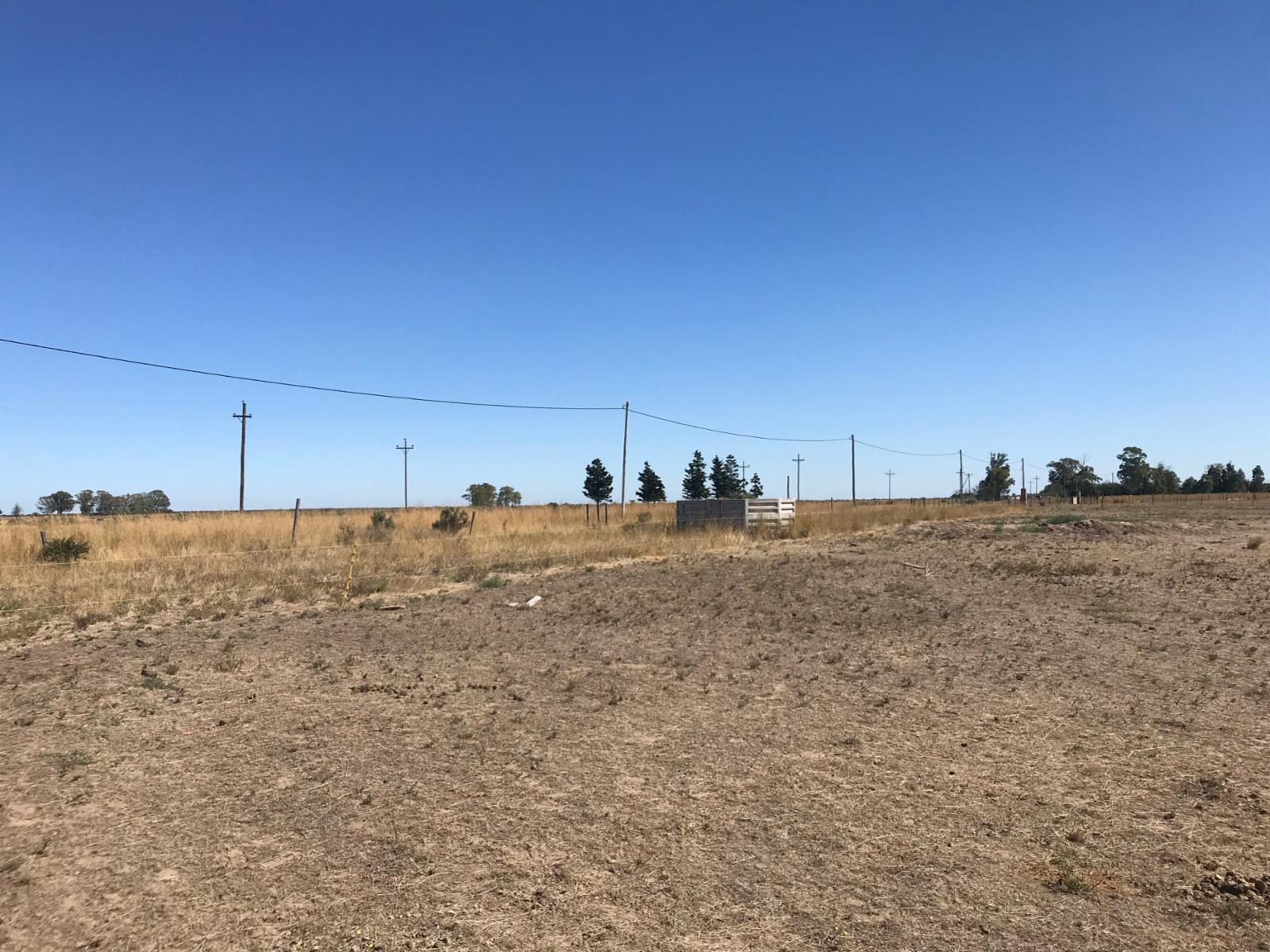 SE VENDE LOTE SOBRE RUTA PROV N°1 CAMINO A BALNEARIO EL CONDOR — foto 3