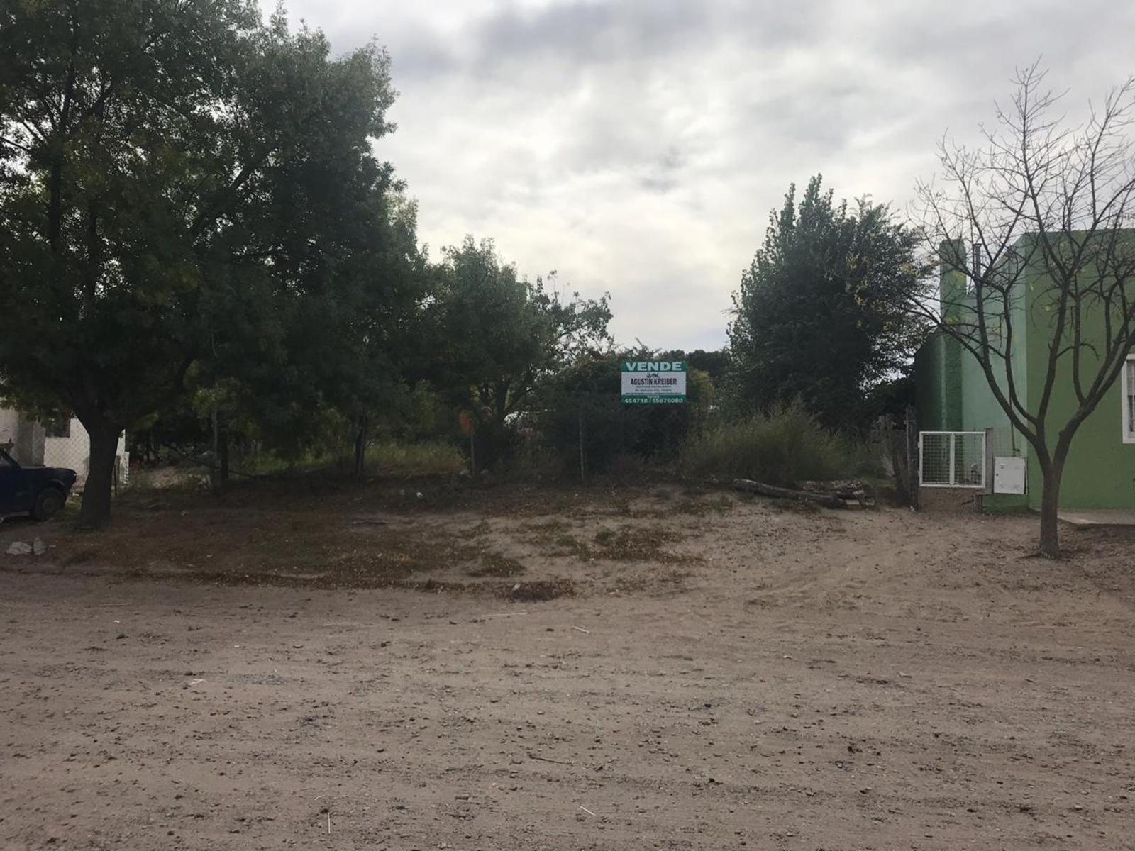 SE VENDE LOTE EN LA LOCALIDAD DE GUARDIA MITRE — foto 5