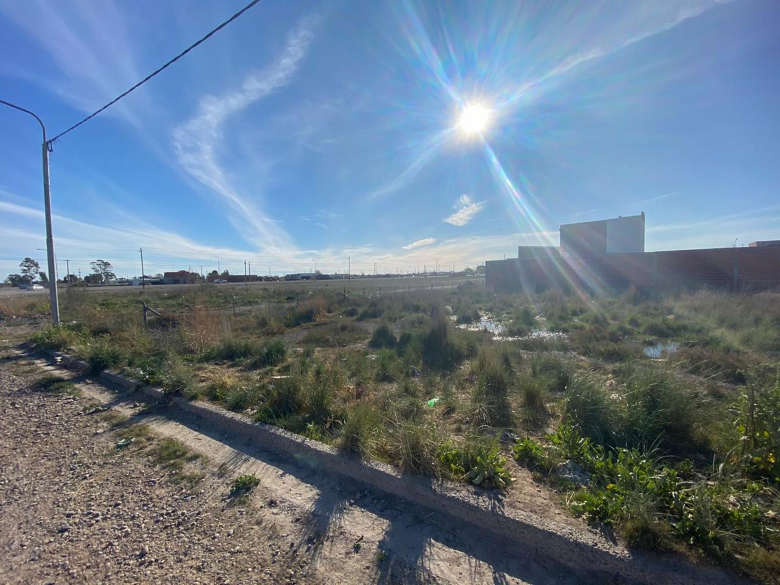 SE VENDEN LOTES EN BARRIO SANTA CLARA VIEDMA — foto 4