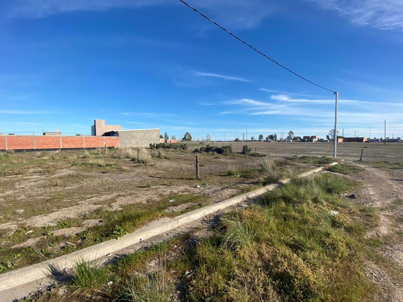 SE VENDEN LOTES EN BARRIO SANTA CLARA VIEDMA — foto 6