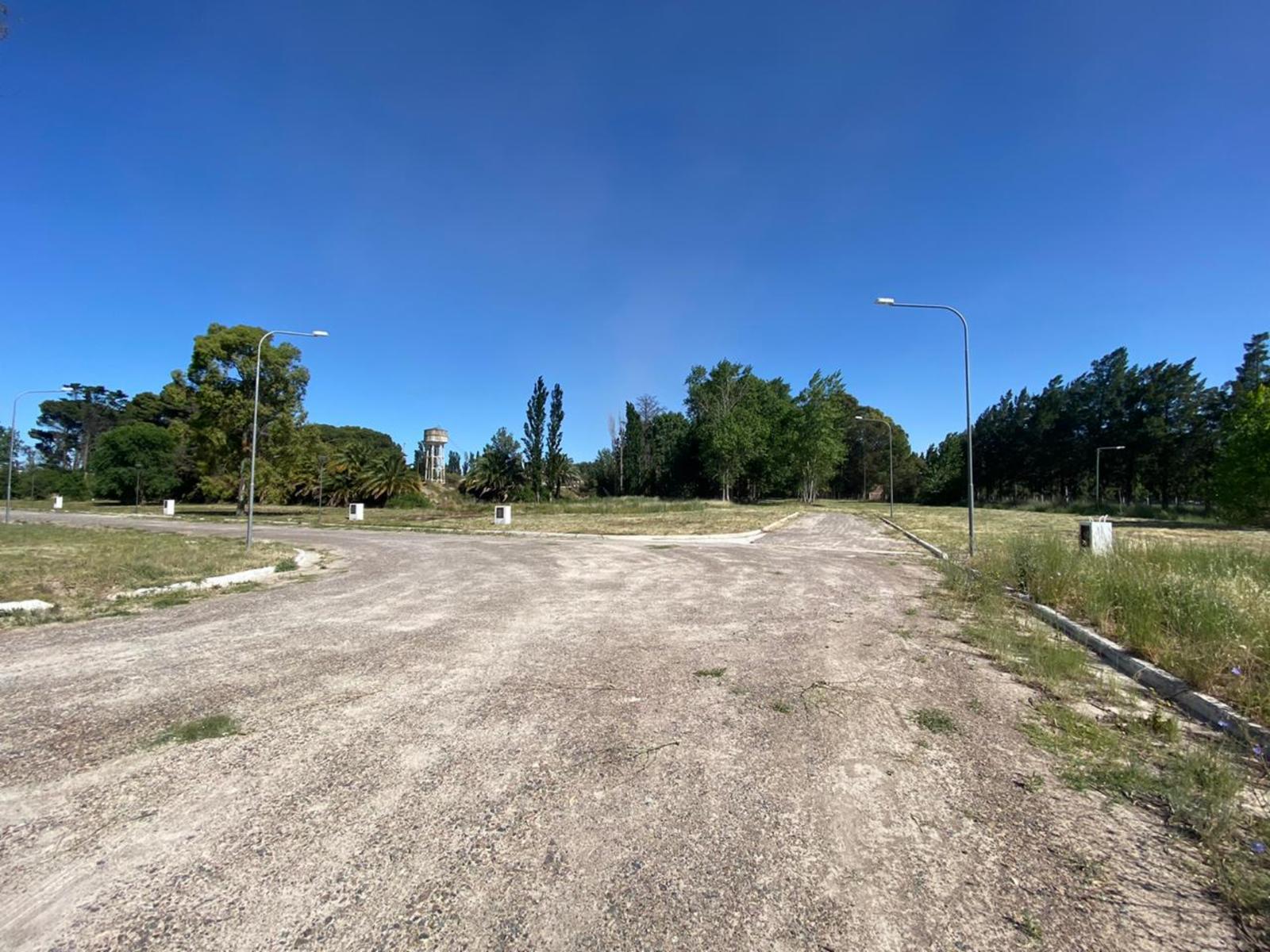 SE VENDEN LOTES Bº COSTANERA NORTE VIEDMA — foto 5