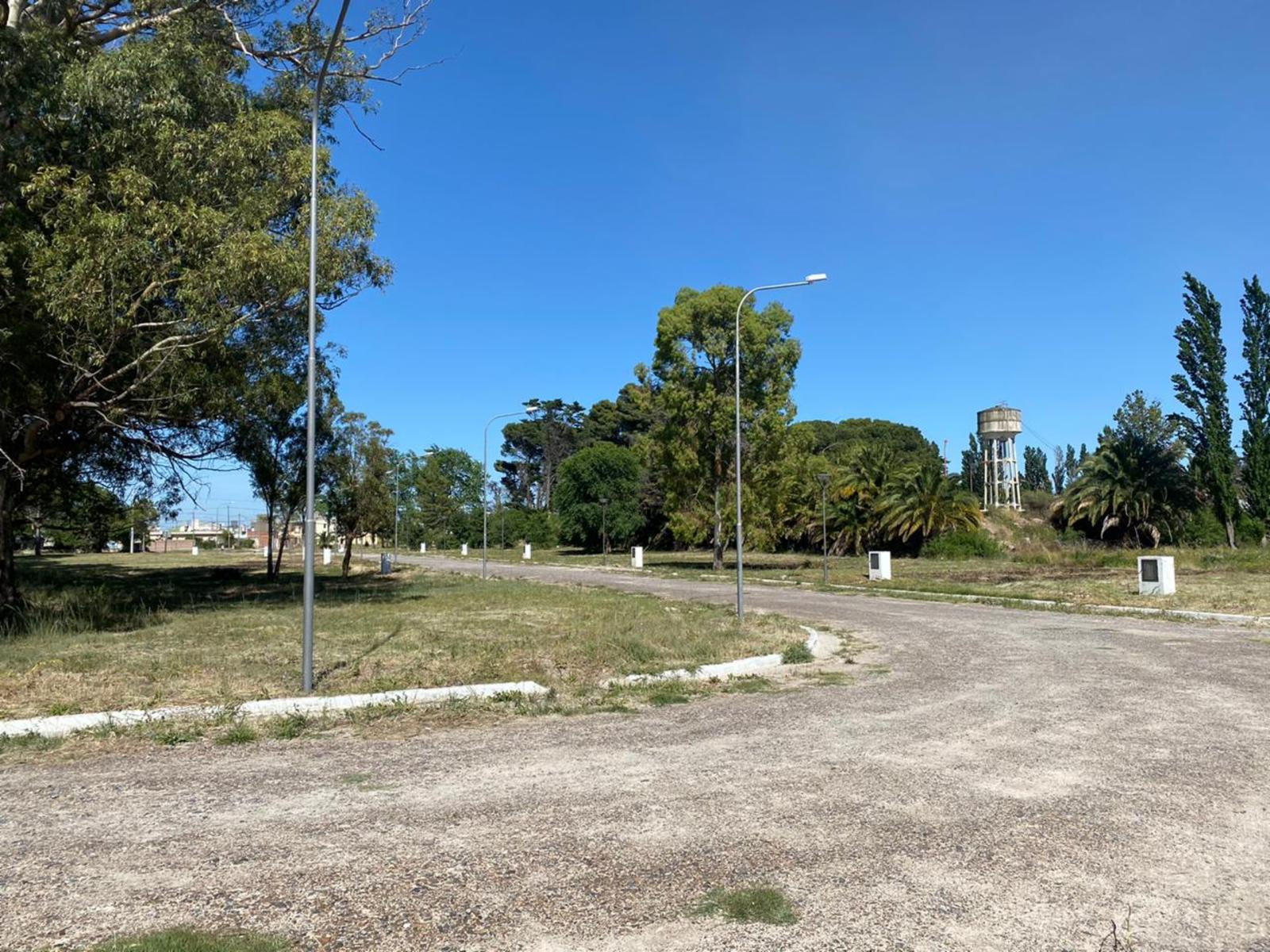 SE VENDEN LOTES Bº COSTANERA NORTE VIEDMA — foto 6