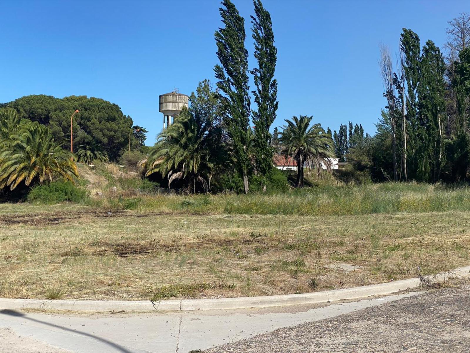 SE VENDEN LOTES Bº COSTANERA NORTE VIEDMA — foto 7