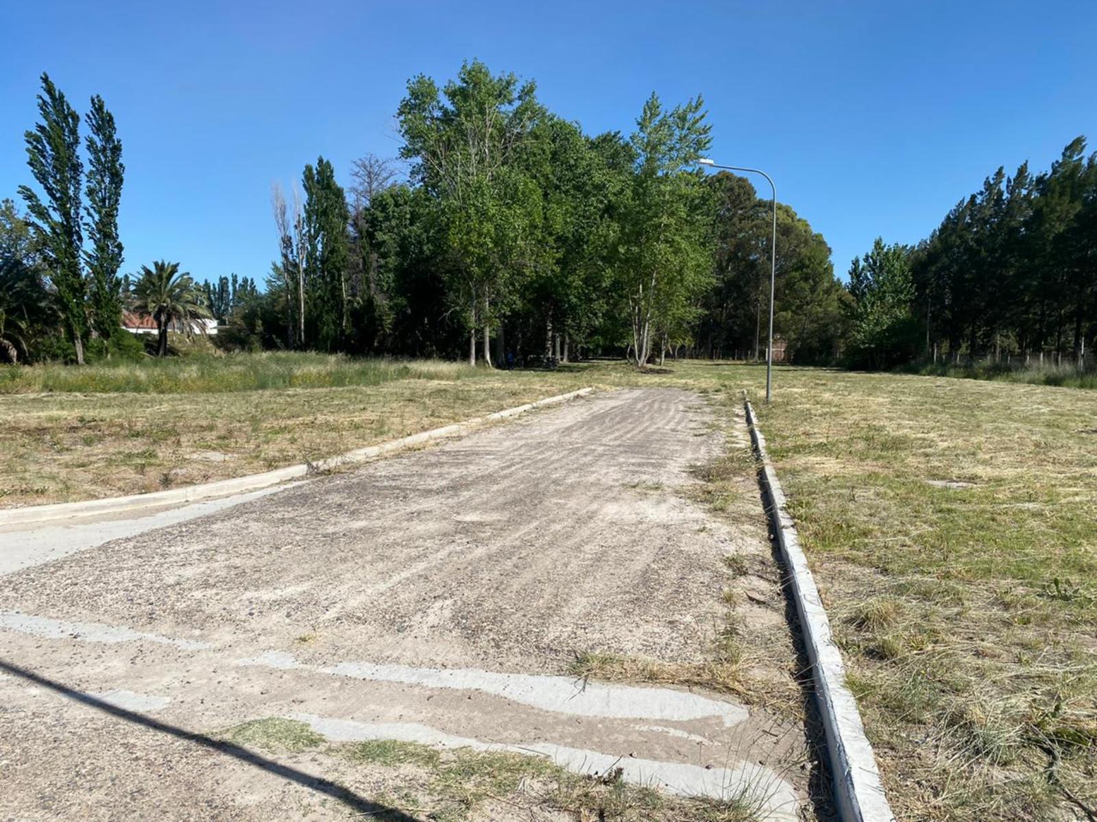 SE VENDEN LOTES Bº COSTANERA NORTE VIEDMA — foto 9