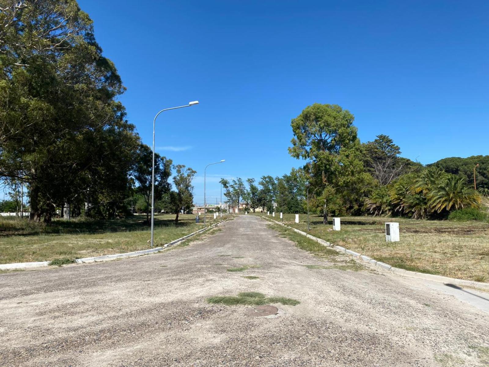 SE VENDEN LOTES Bº COSTANERA NORTE VIEDMA — foto 10