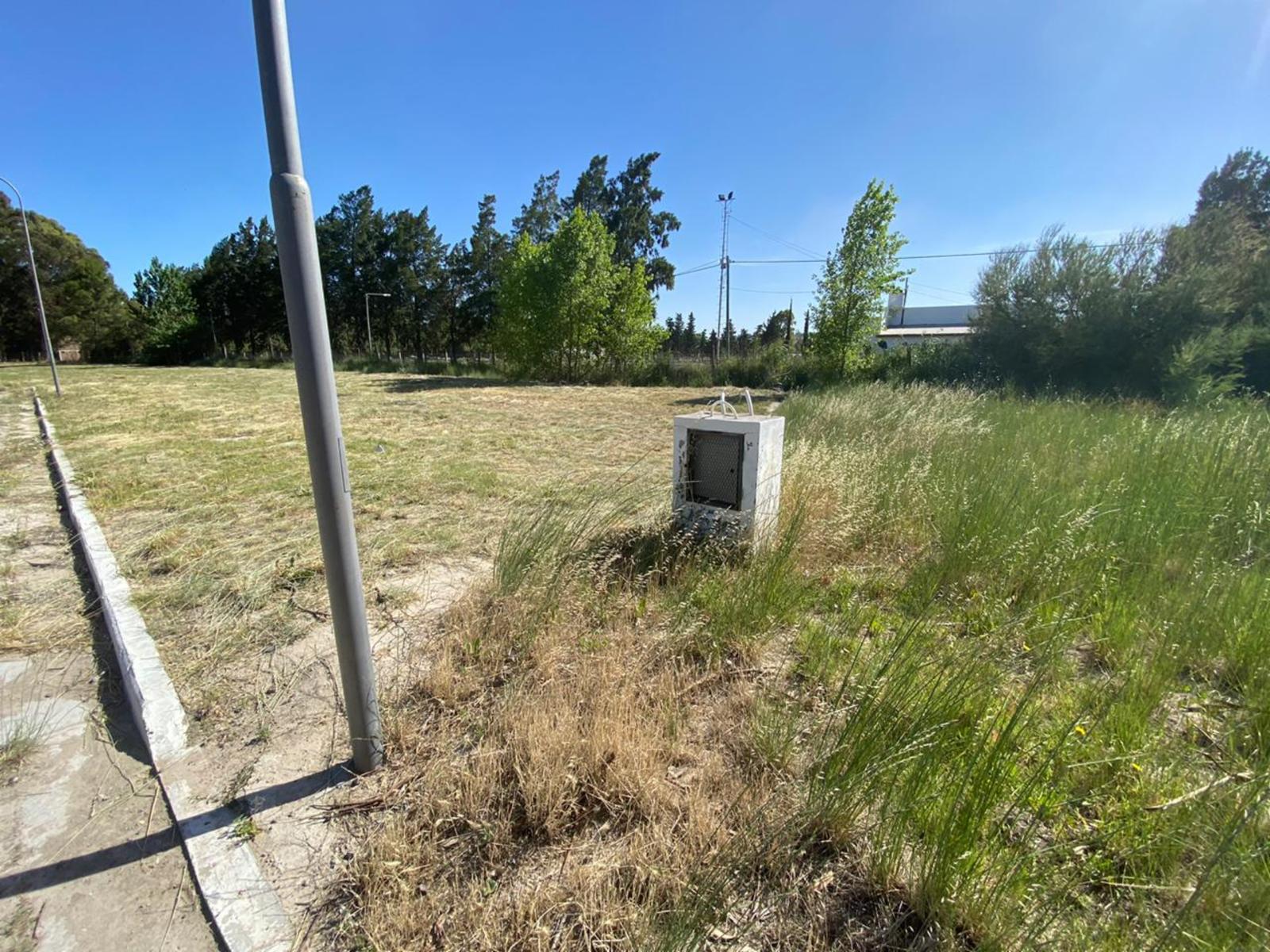 SE VENDEN LOTES Bº COSTANERA NORTE VIEDMA — foto 11