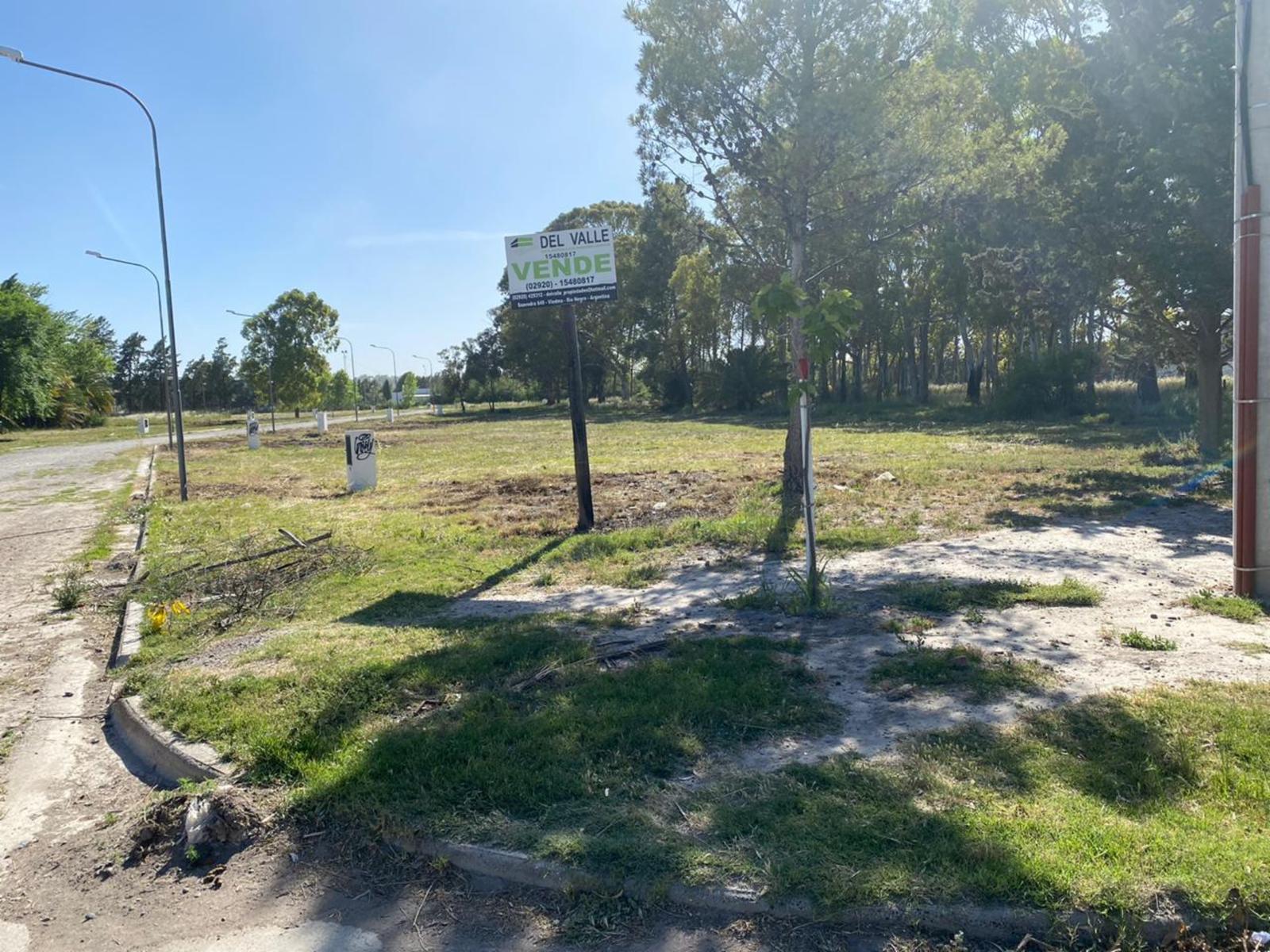 SE VENDEN LOTES Bº COSTANERA NORTE VIEDMA — foto 12