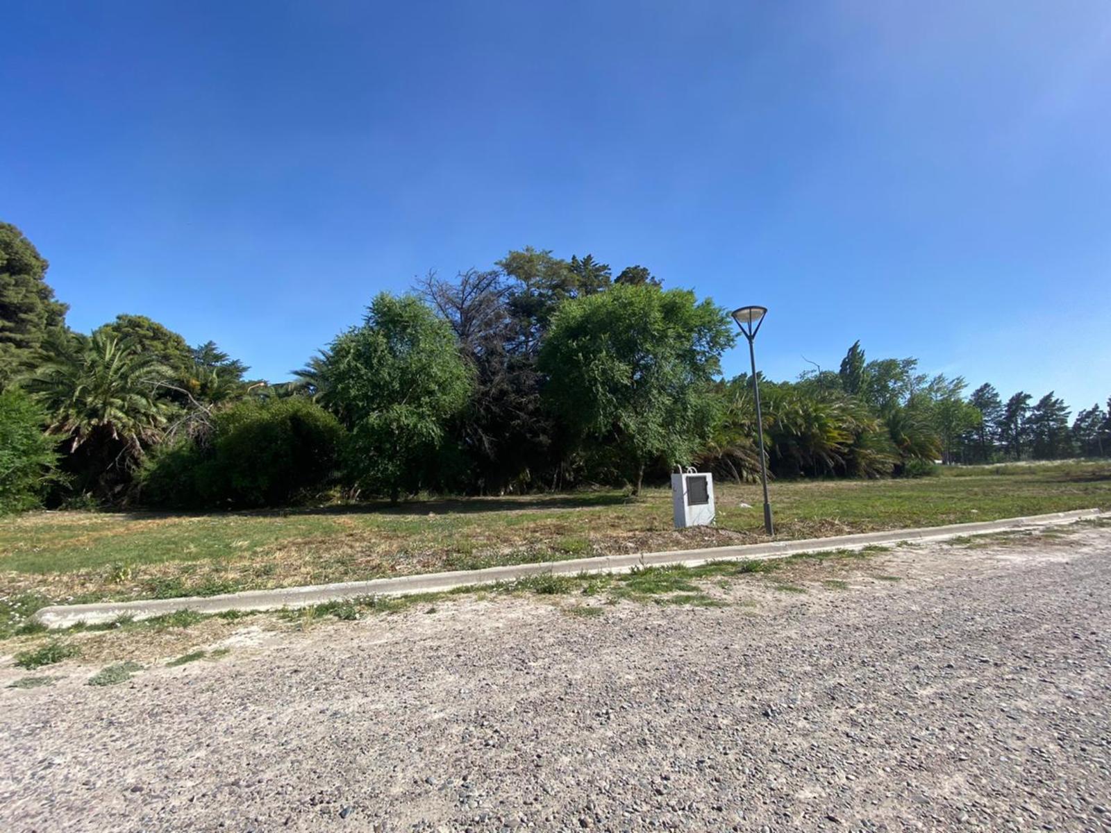 SE VENDEN LOTES Bº COSTANERA NORTE VIEDMA — foto 13