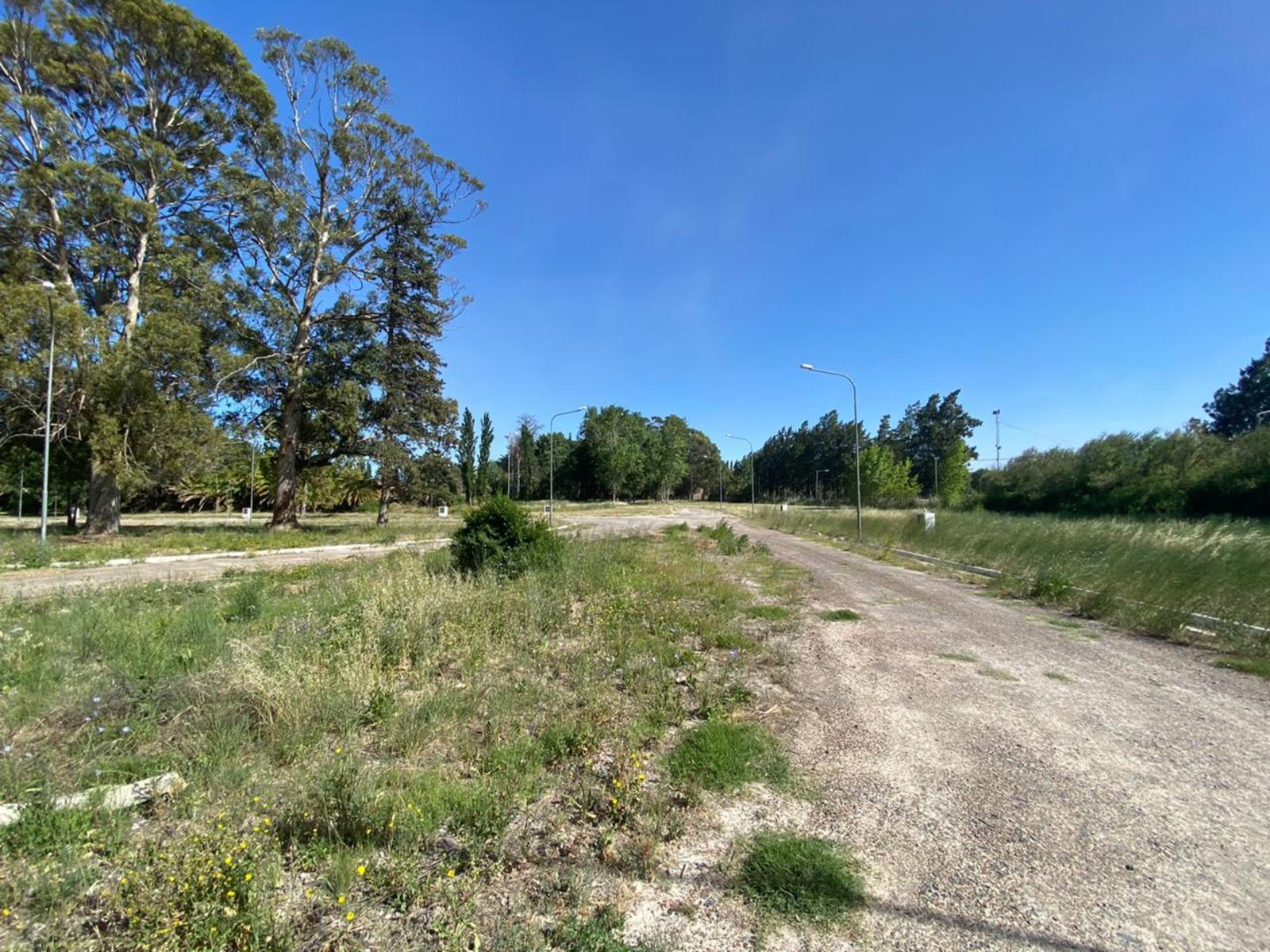 SE VENDEN LOTES Bº COSTANERA NORTE VIEDMA — foto 14