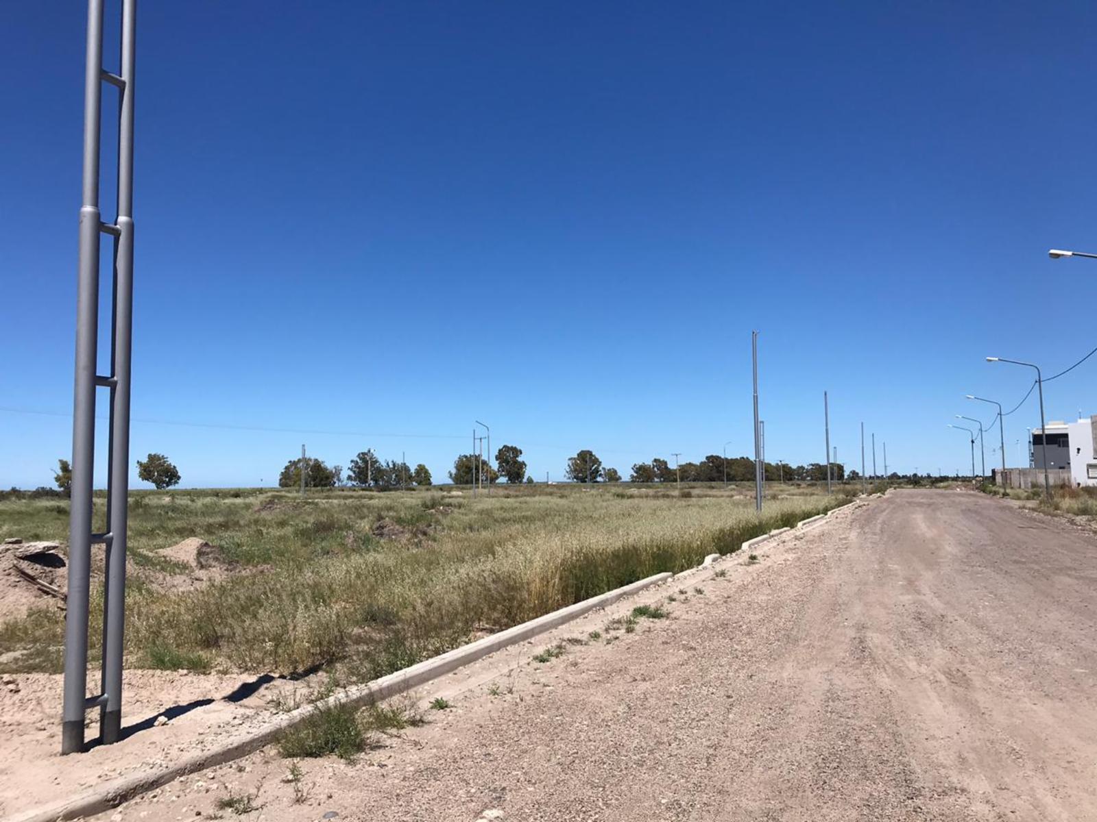 SE VENDE LOTE EN LOTEO “LAS PERDICES” VIEDMA — foto 4