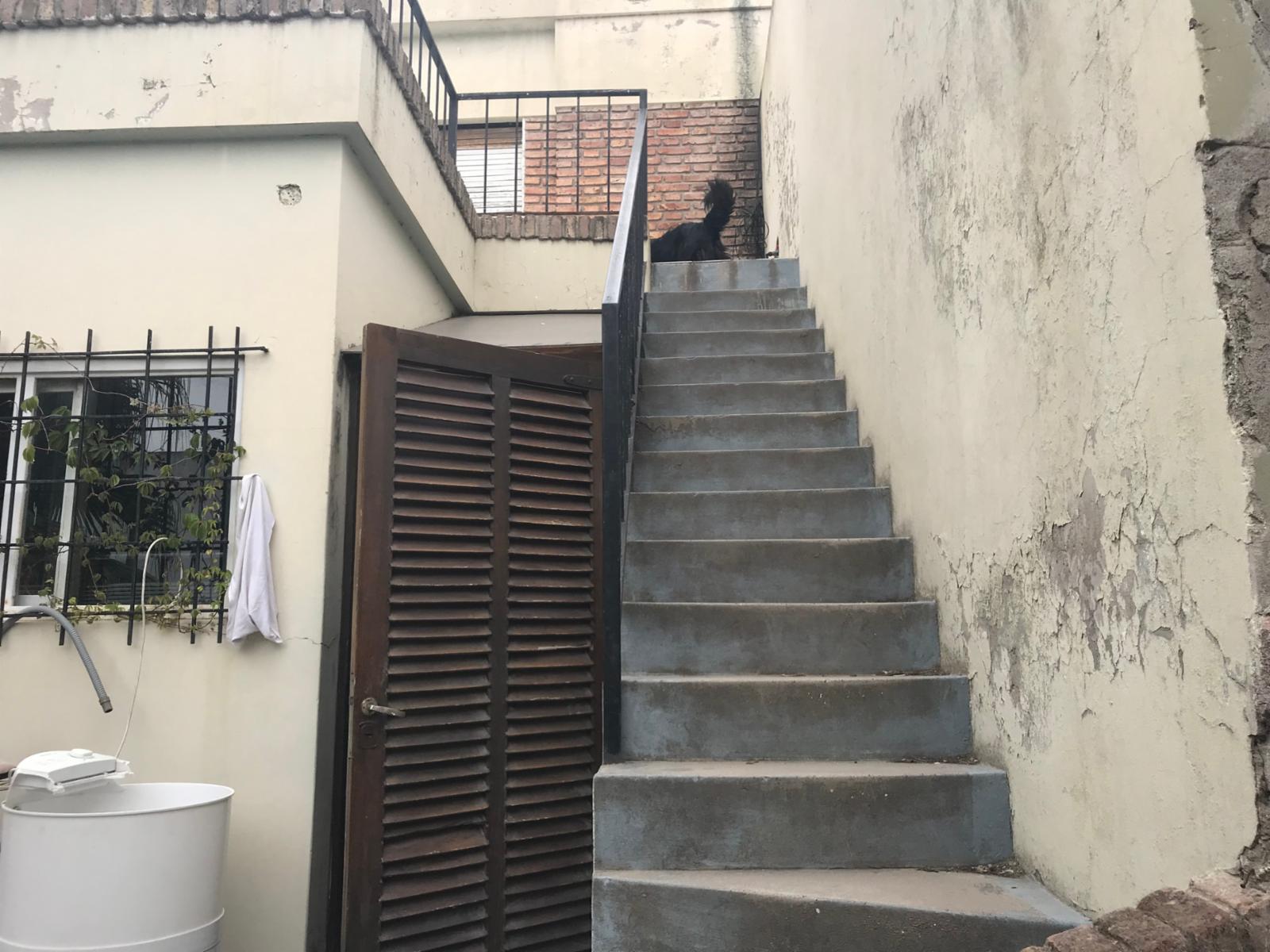 SE VENDE GRAN PROPIEDAD CÉNTRICA EN VIEDMA — foto 8